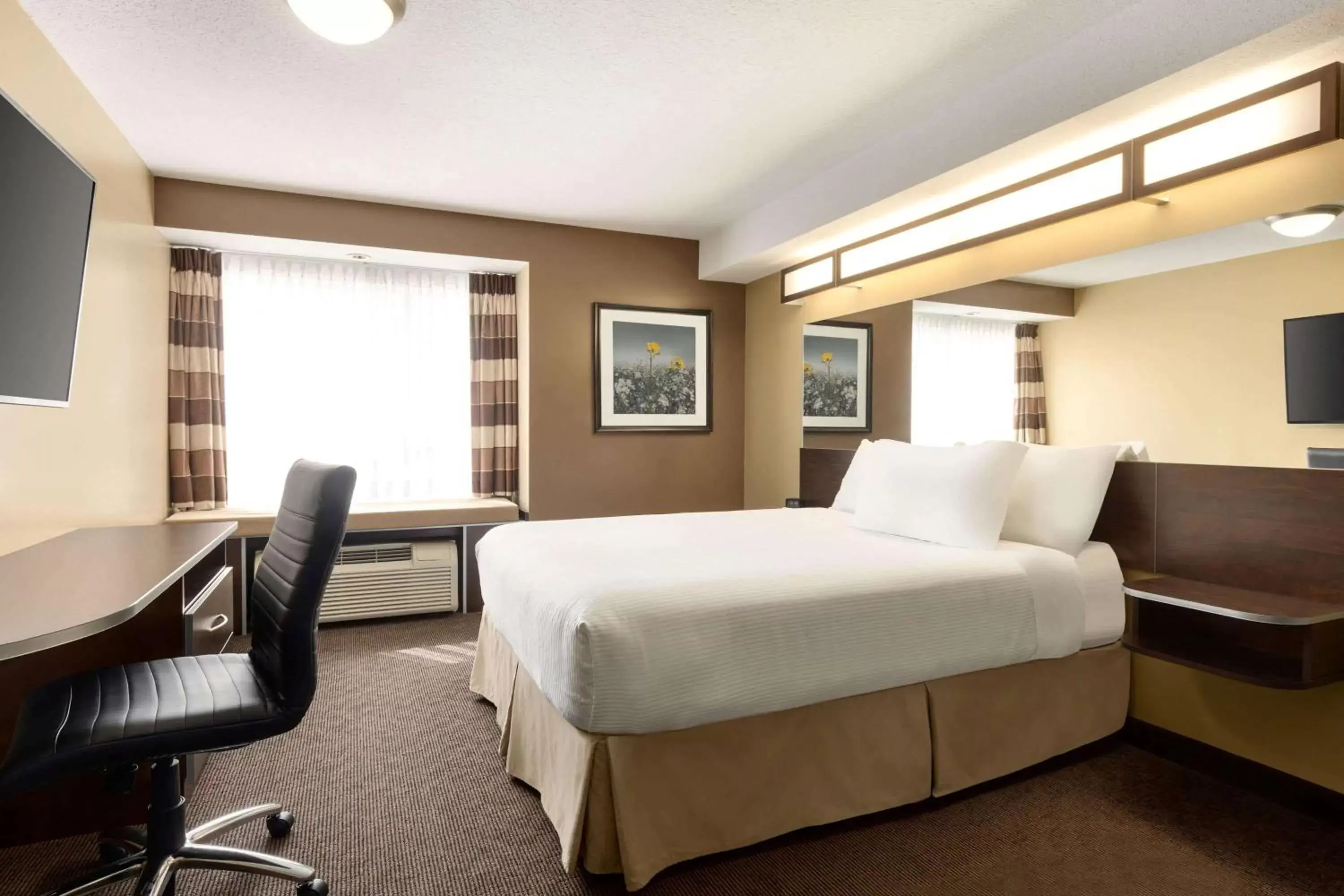 Photo of the whole room, Bed in Microtel Inn & Suites by Wyndham Estevan