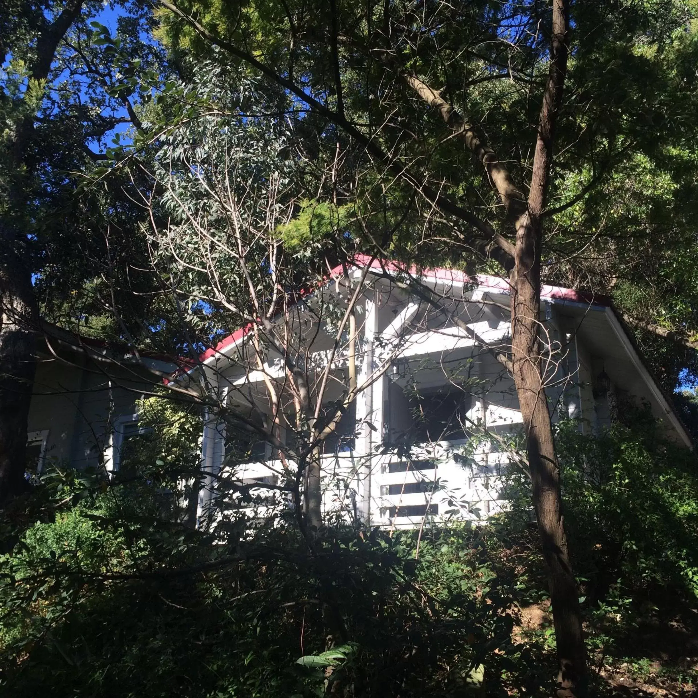 Garden, Property Building in Mesón de Sancho