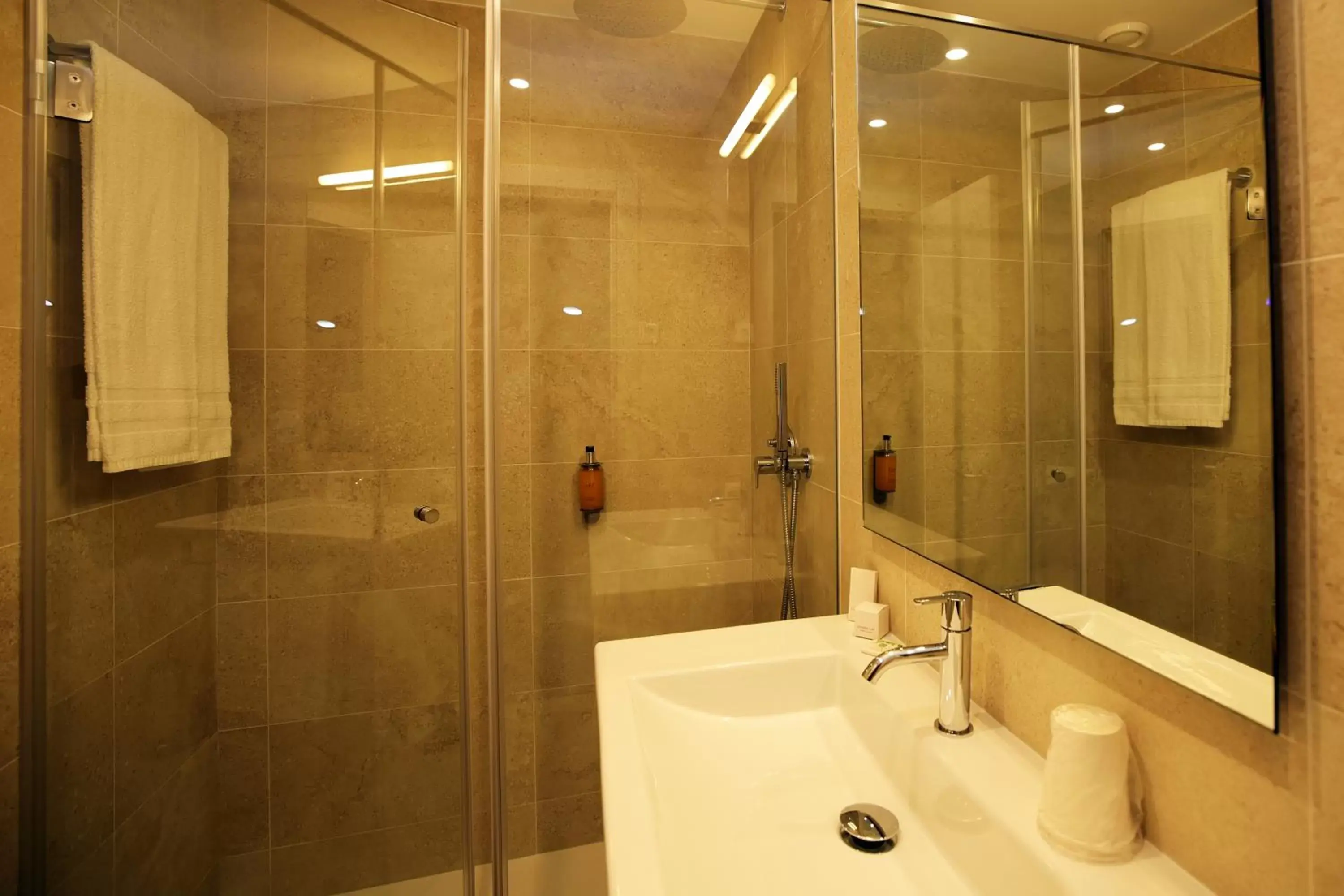 Shower, Bathroom in Hotel Navarras