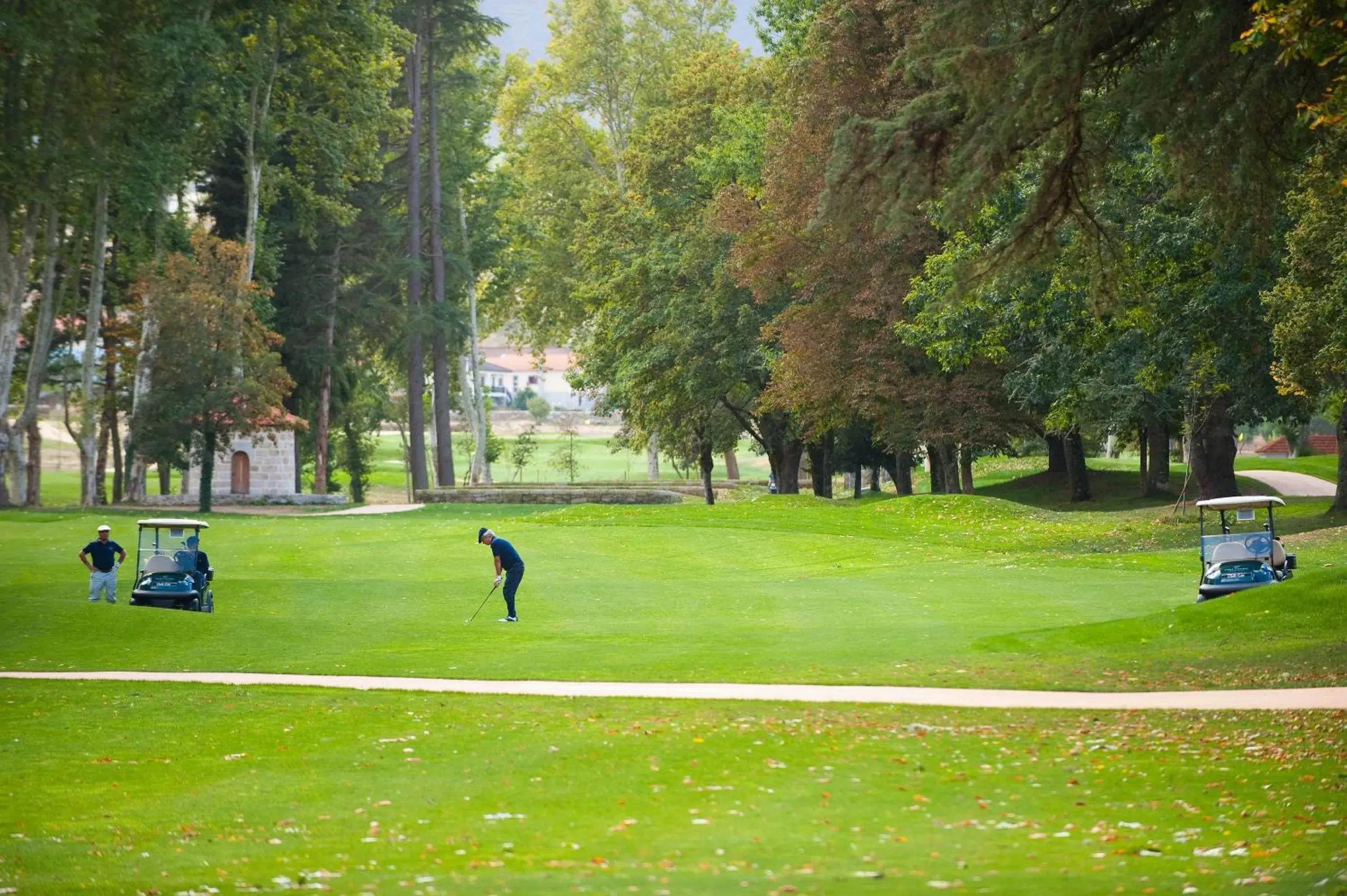 Golfcourse, Other Activities in Vidago Palace