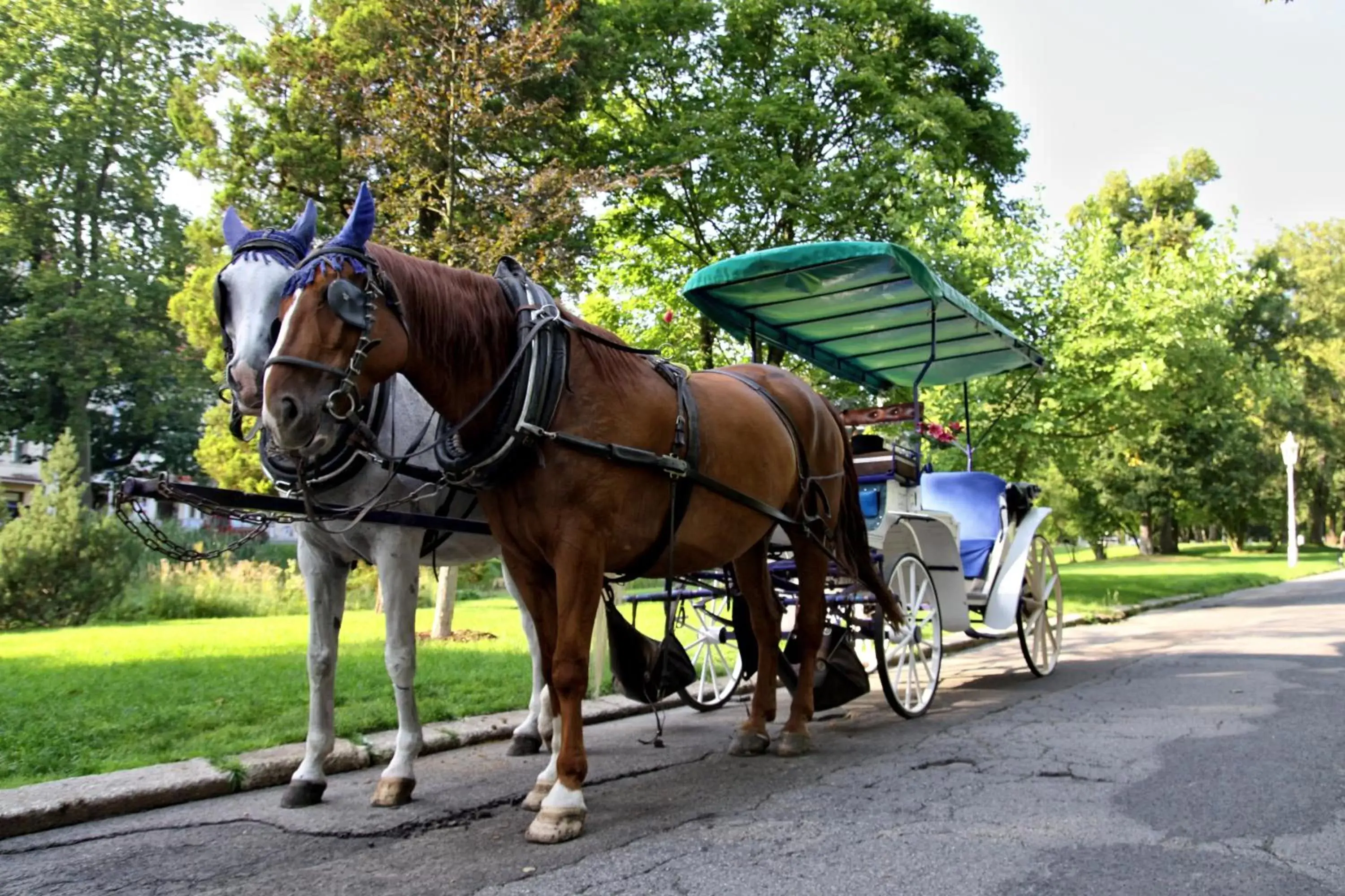 Other, Horseback Riding in Esplanade Spa and Golf Resort