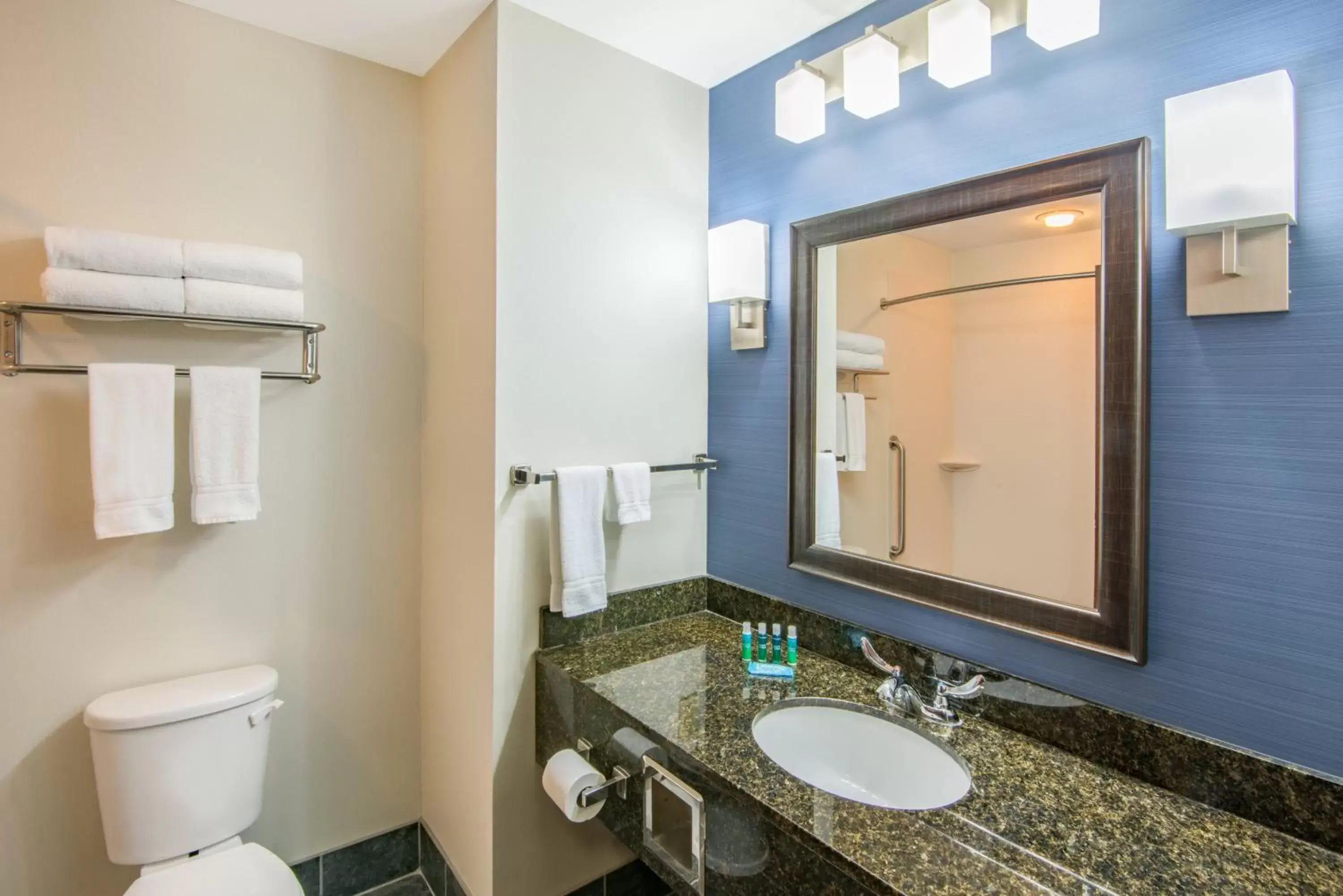 Bathroom in Holiday Inn Express Cleveland Airport - Brook Park, an IHG Hotel