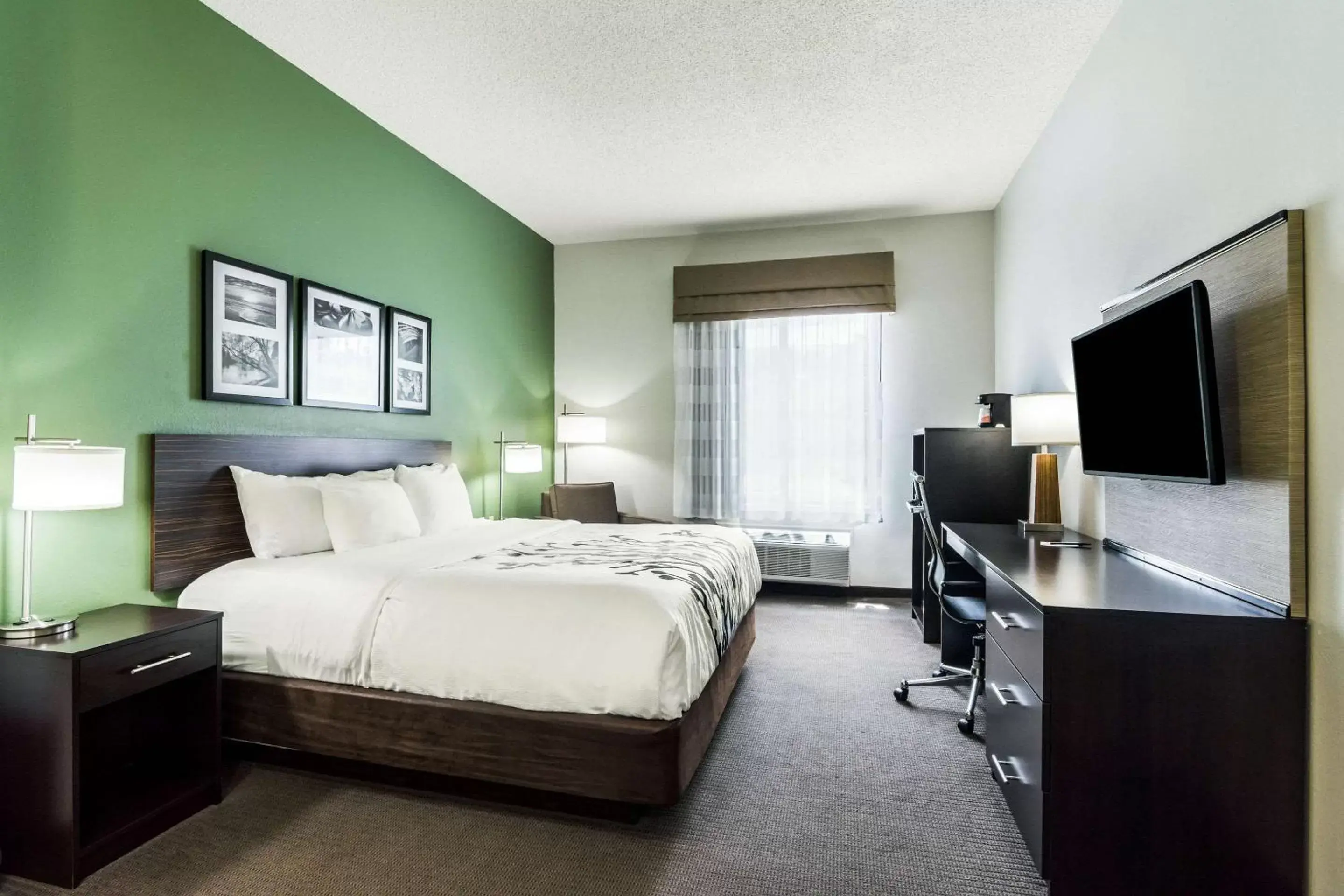 Photo of the whole room, TV/Entertainment Center in Sleep Inn & Suites Smithfield near I-95