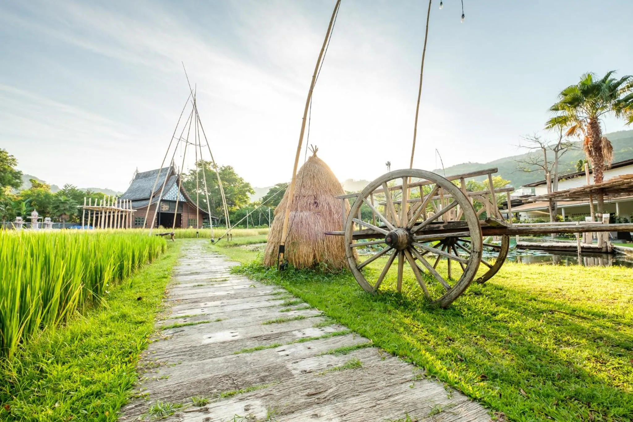 Garden view in Naina Resort & Spa - SHA Extra Plus