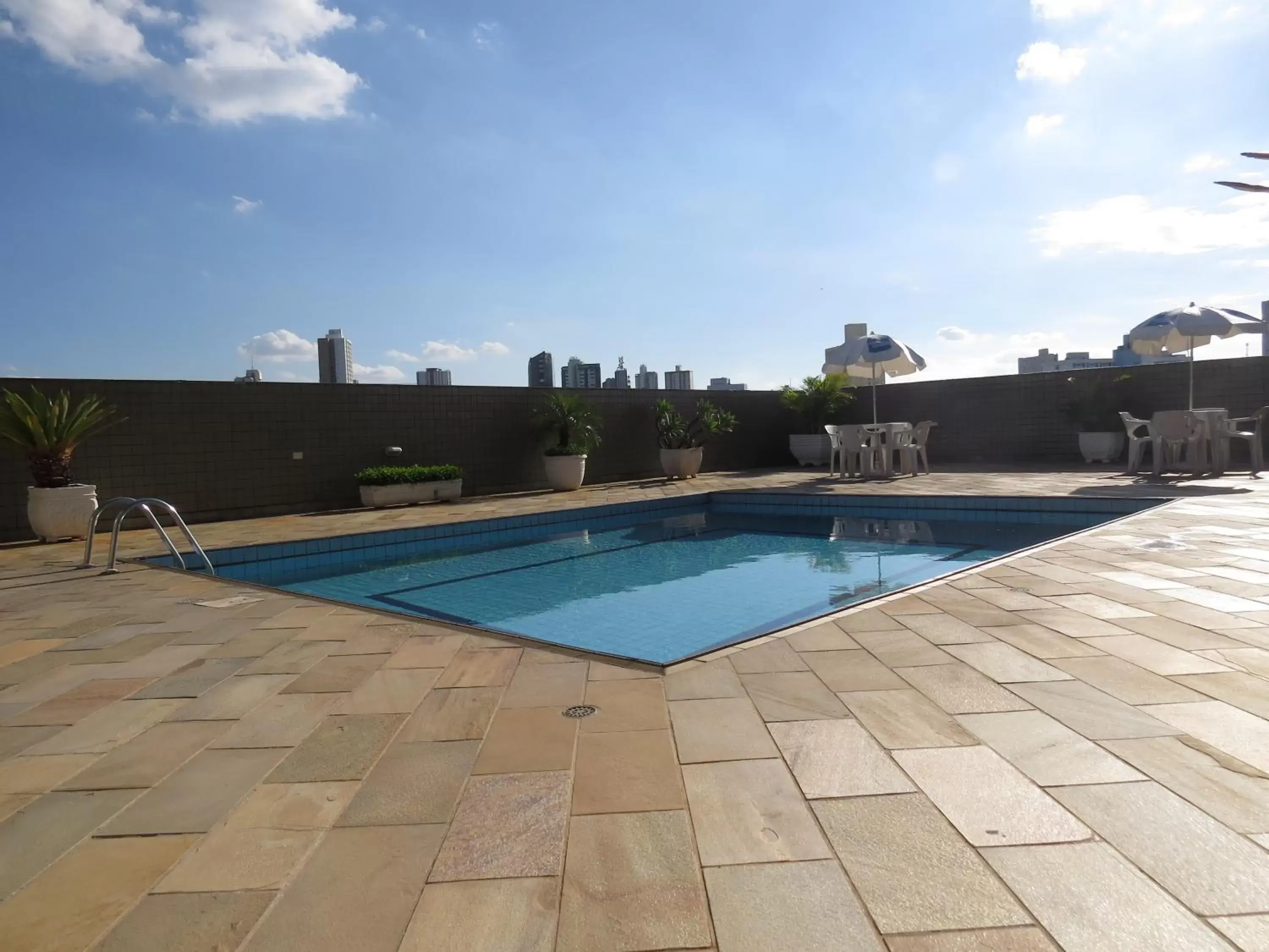 Day, Swimming Pool in Carlton Plaza São José dos Campos