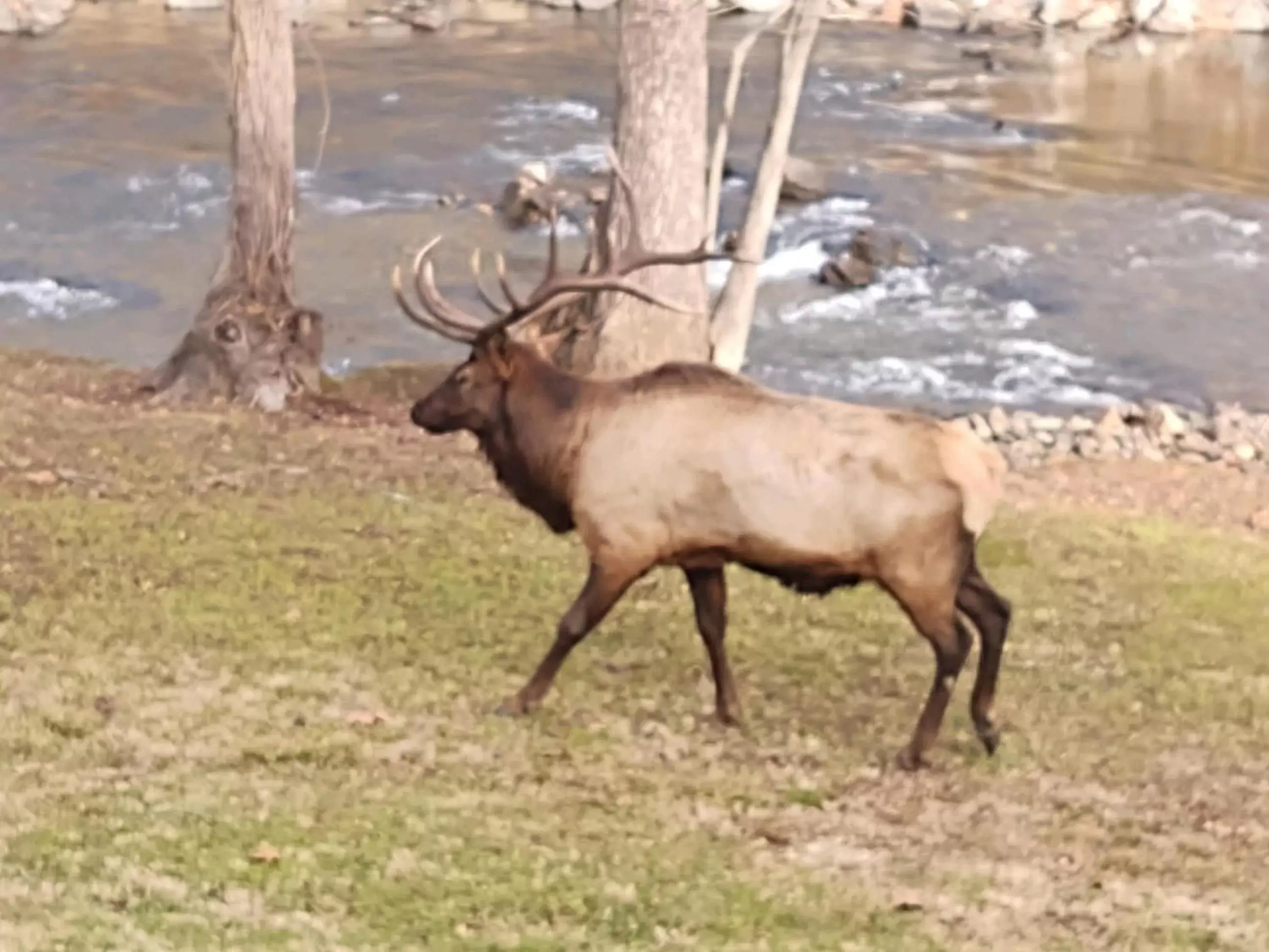 River view in Quality Inn Cherokee River view in Quality Inn Cherokee
