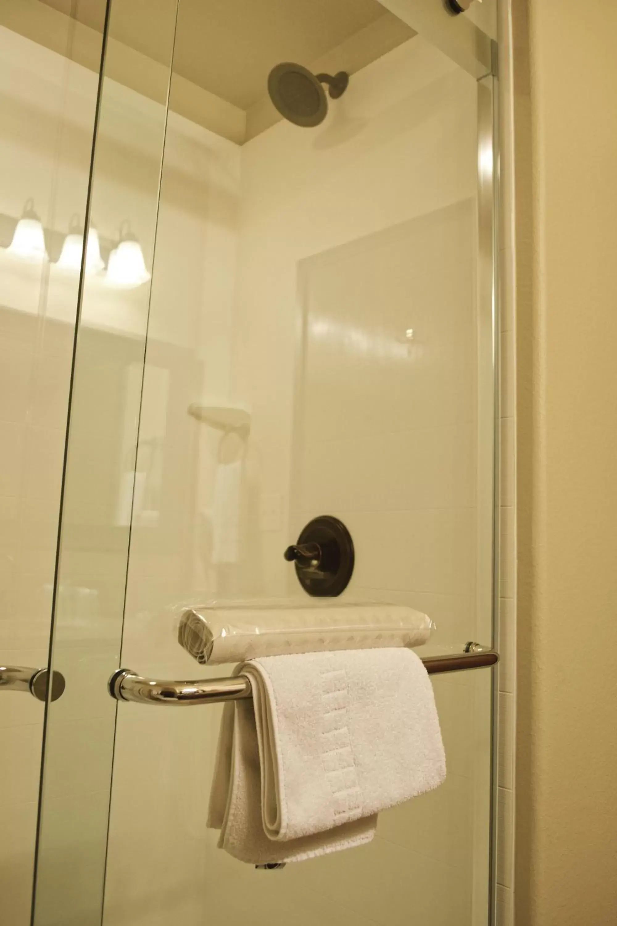 Bathroom in Best Western San Isidro Inn