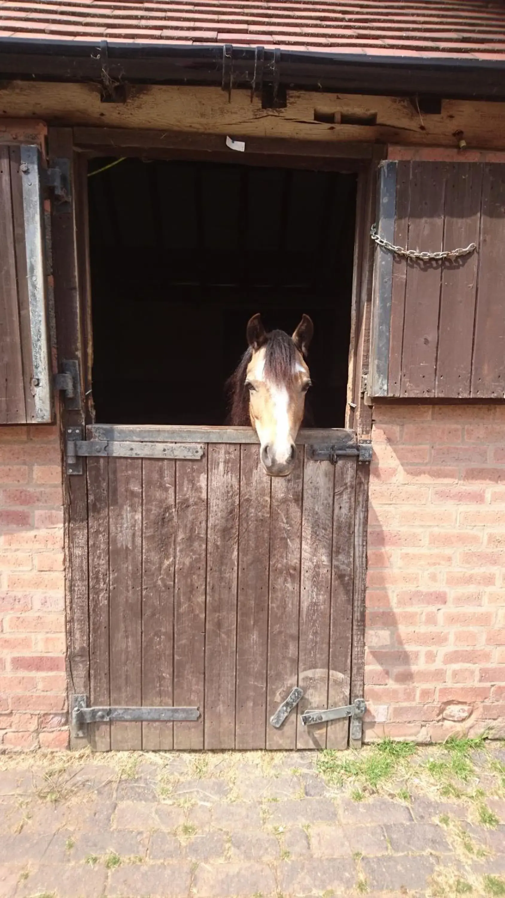 Pets in Church Farm Accomodation