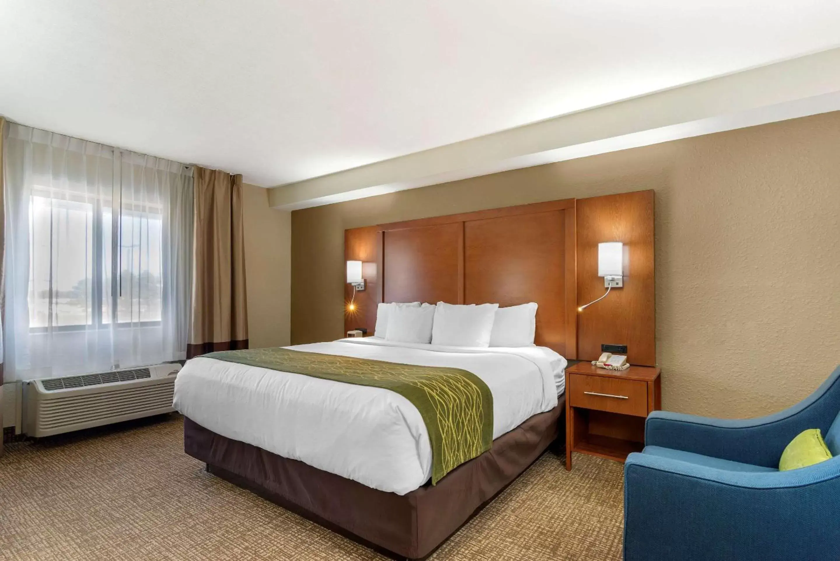 Standard King Room - Non-Smoking  in Comfort Inn & Suites - near Robins Air Force Base Main Gate