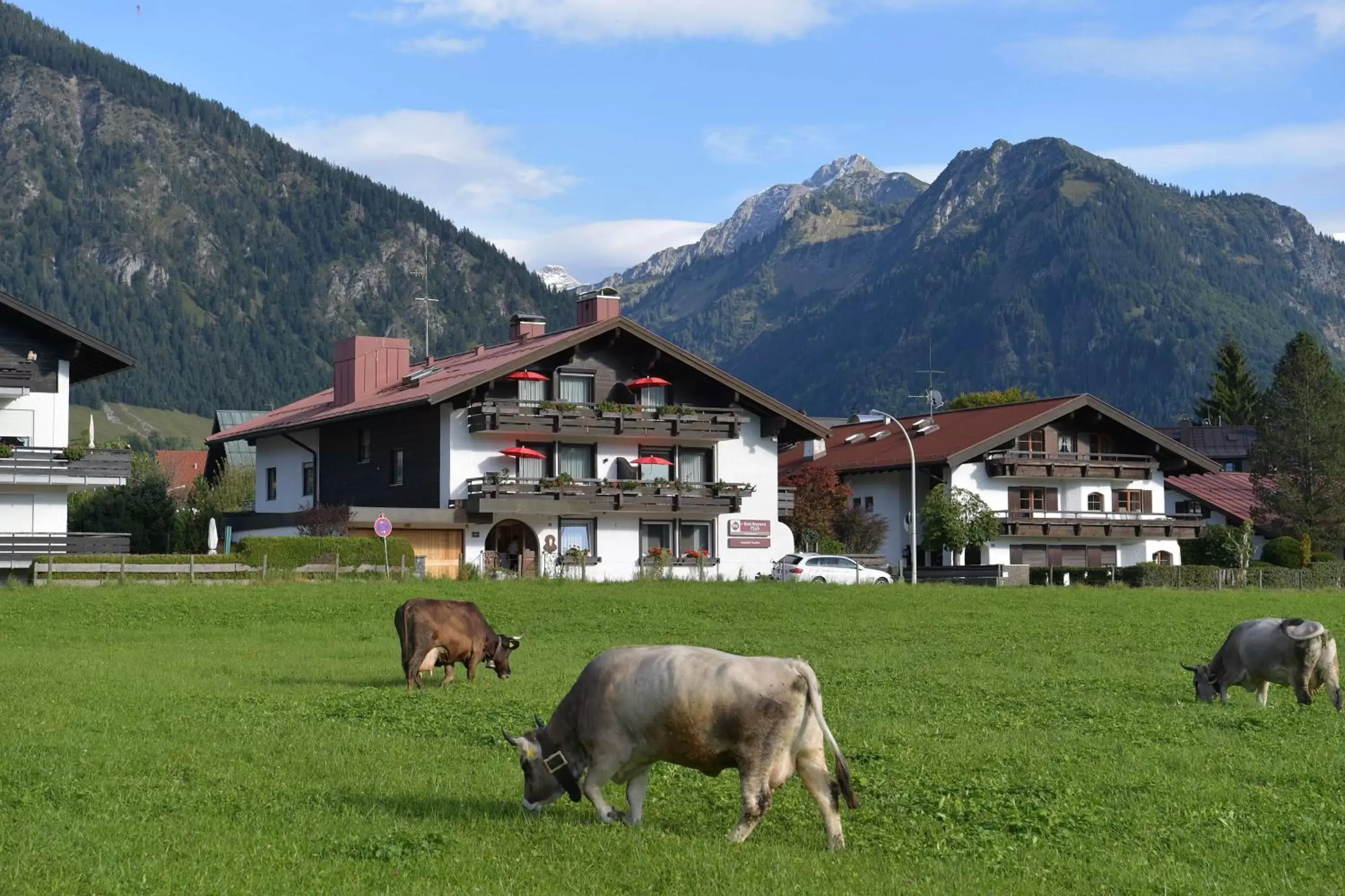 Property building in Best Western Plus Hotel Alpenhof