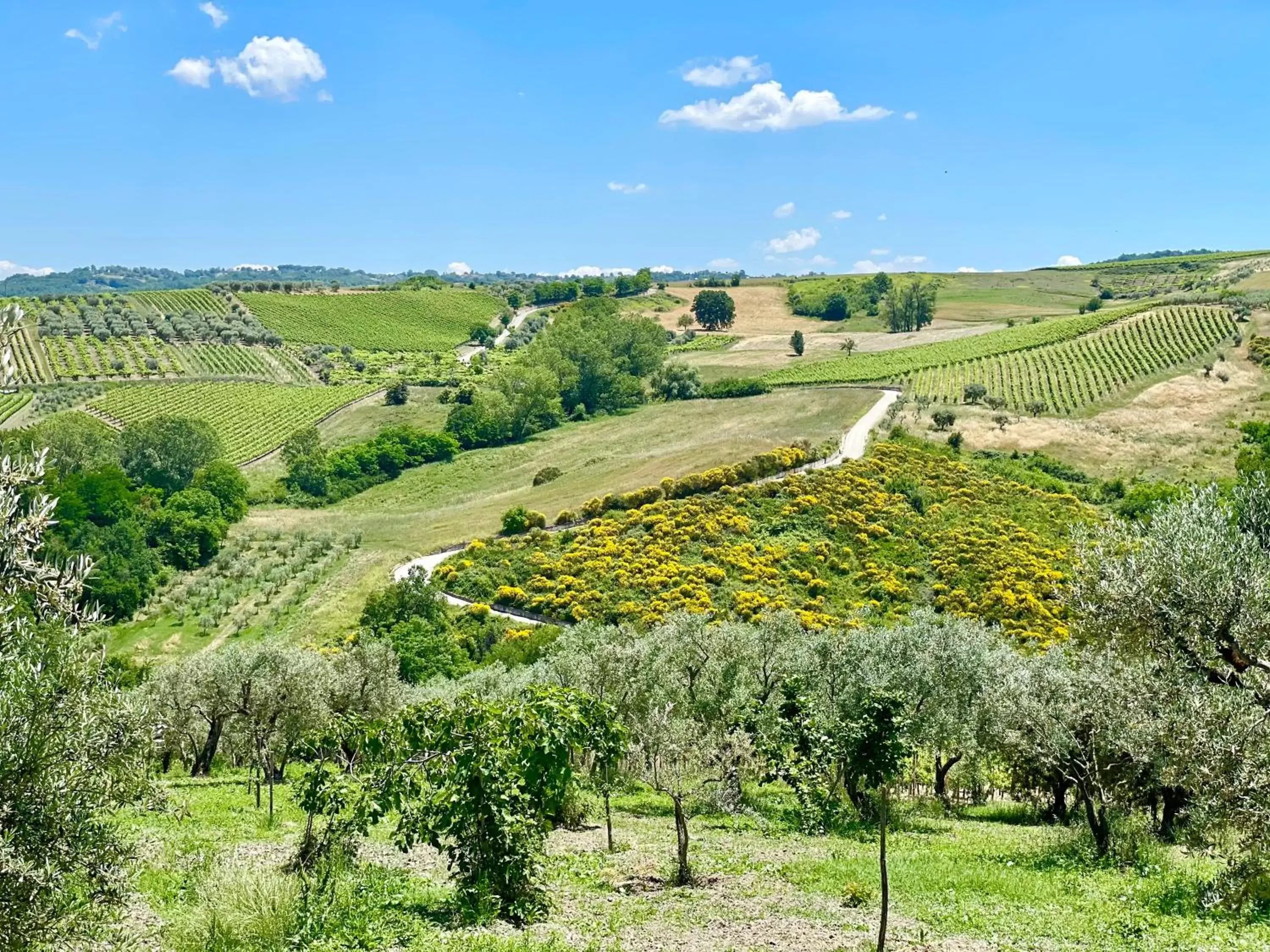 Natural landscape in Agriturismo Le Masciare