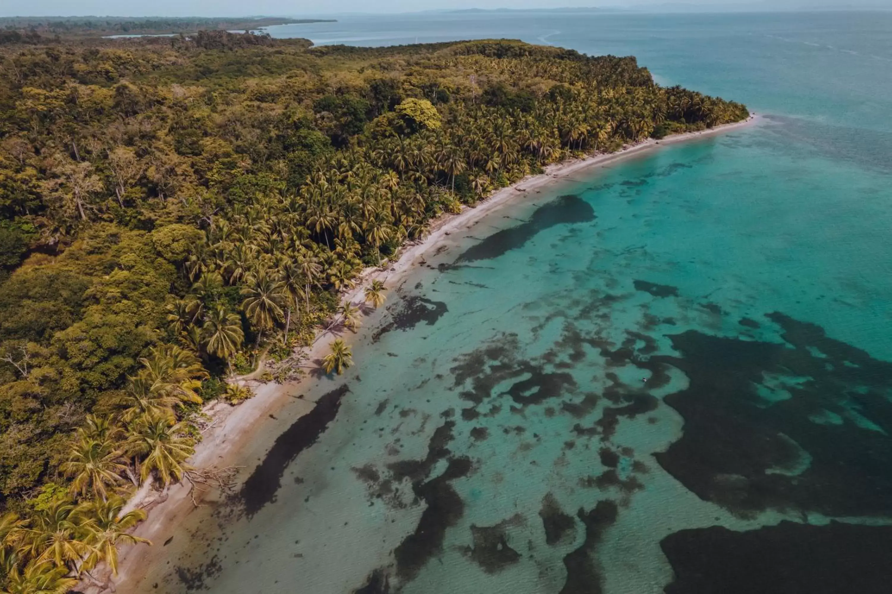 Bird's eye view, Bird's-eye View in Selina Bocas del Toro