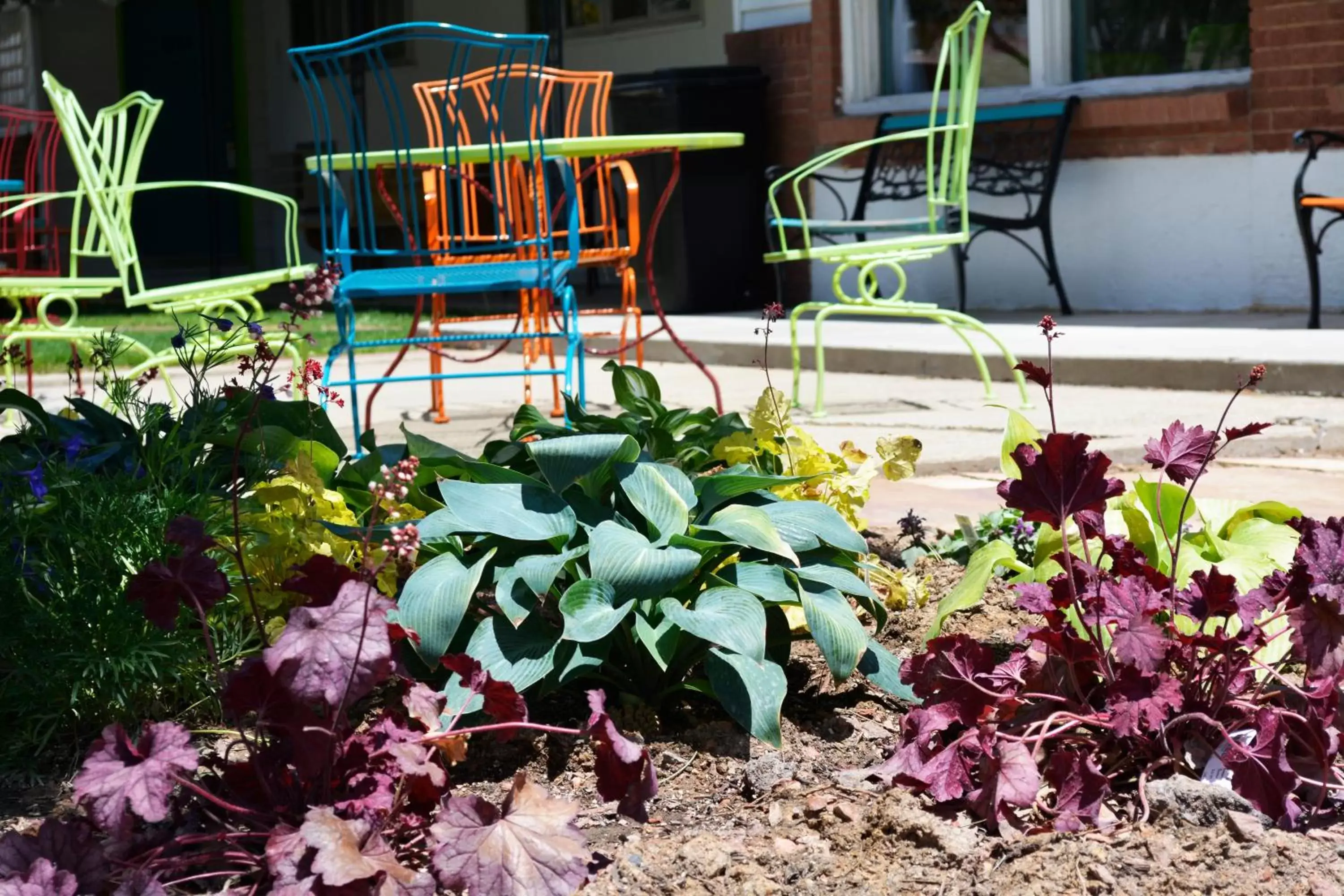 Garden in Retro Inn at Mesa Verde