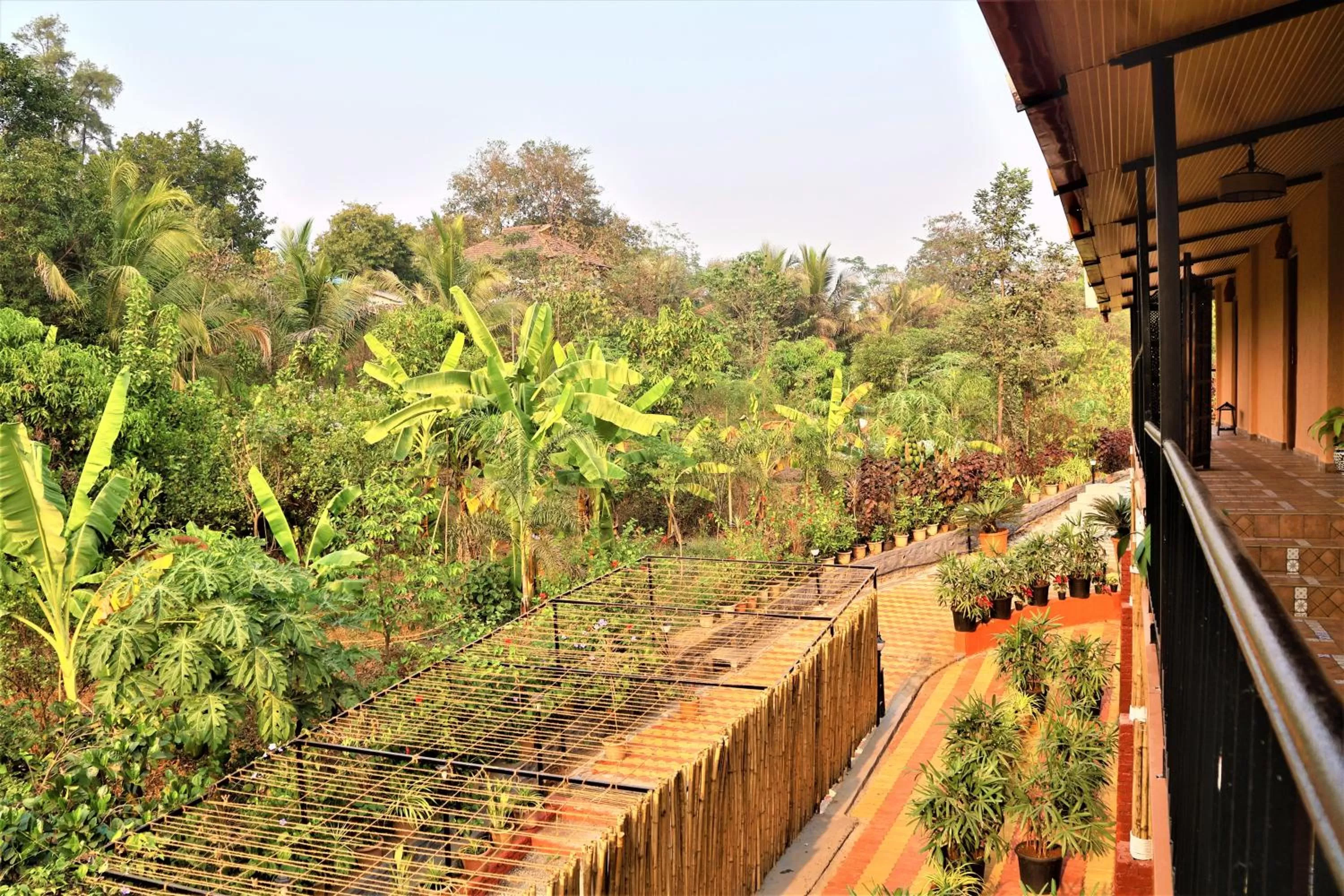 View (from property/room) in Saveda Farm & Cottages