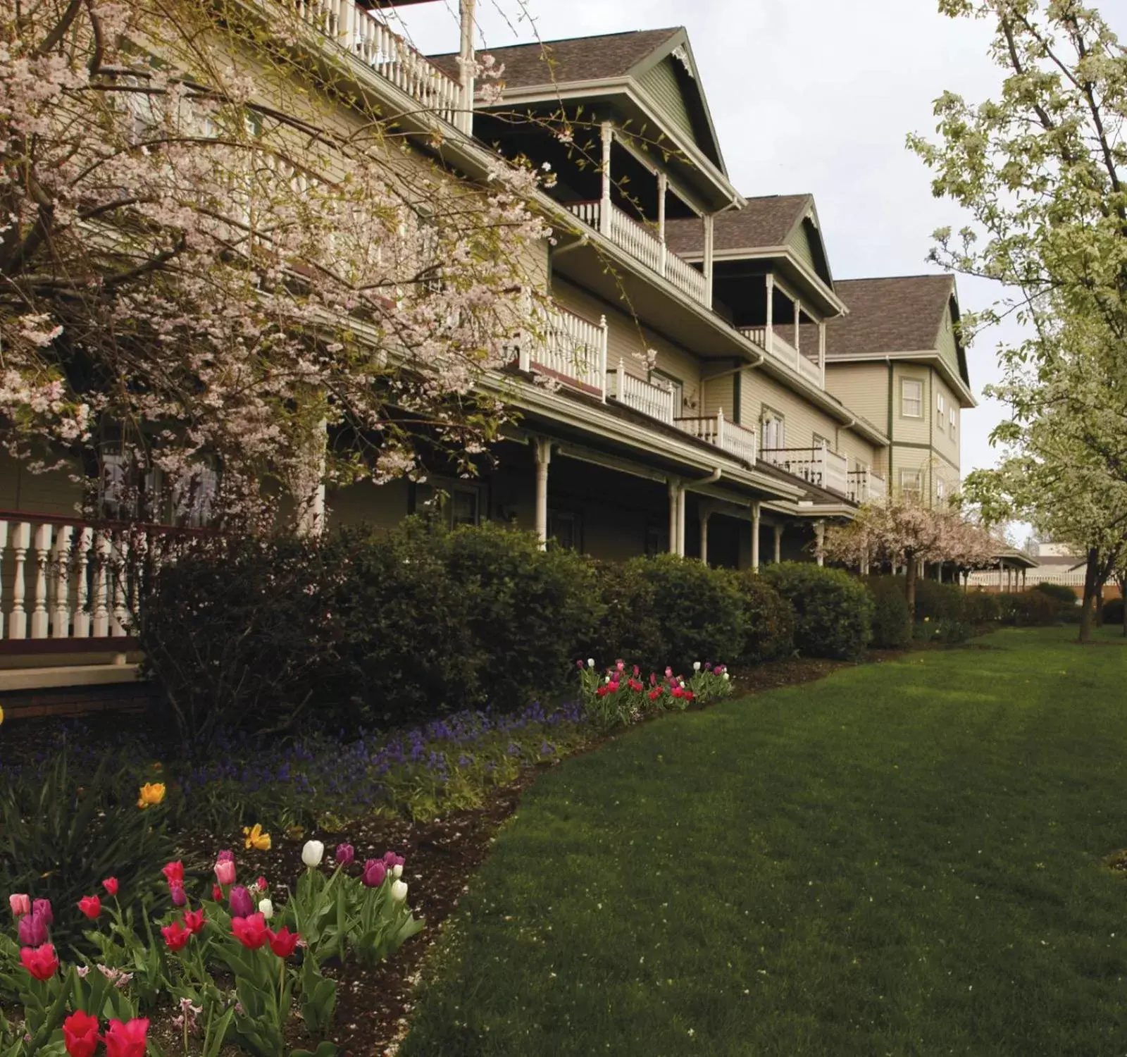 Property building in Carlisle Inn Walnut Creek Property building in Carlisle Inn Walnut Creek