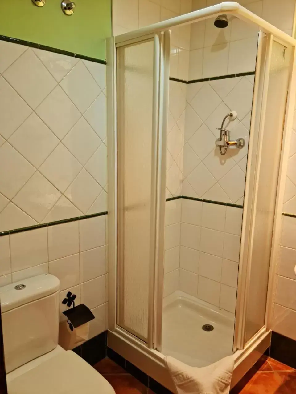 Shower, Bathroom in Hotel Plateros