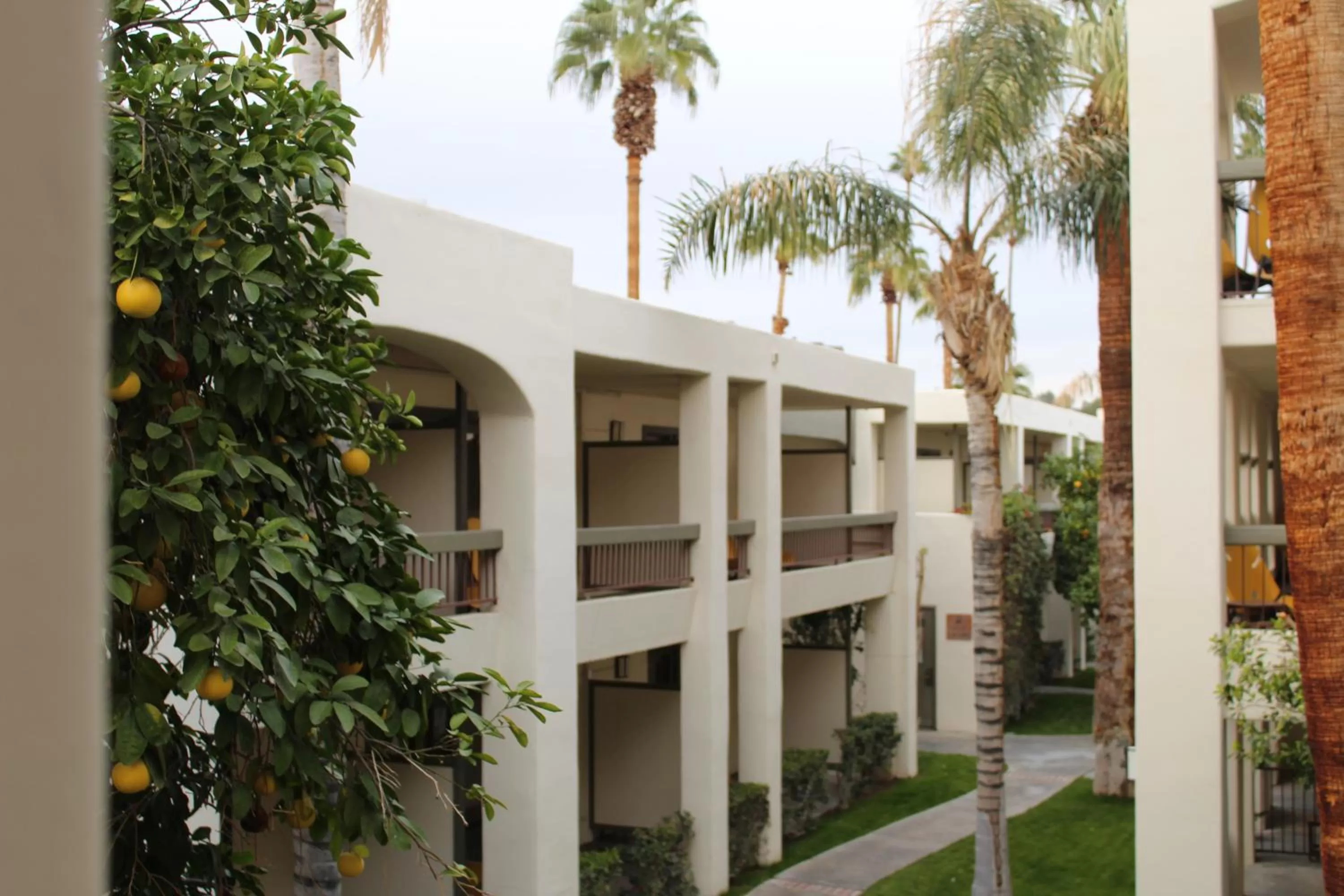 Property building in Palm Mountain Resort & Spa