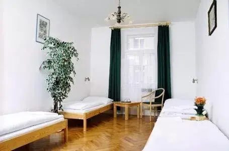 Photo of the whole room, Bed in Pension Prague City