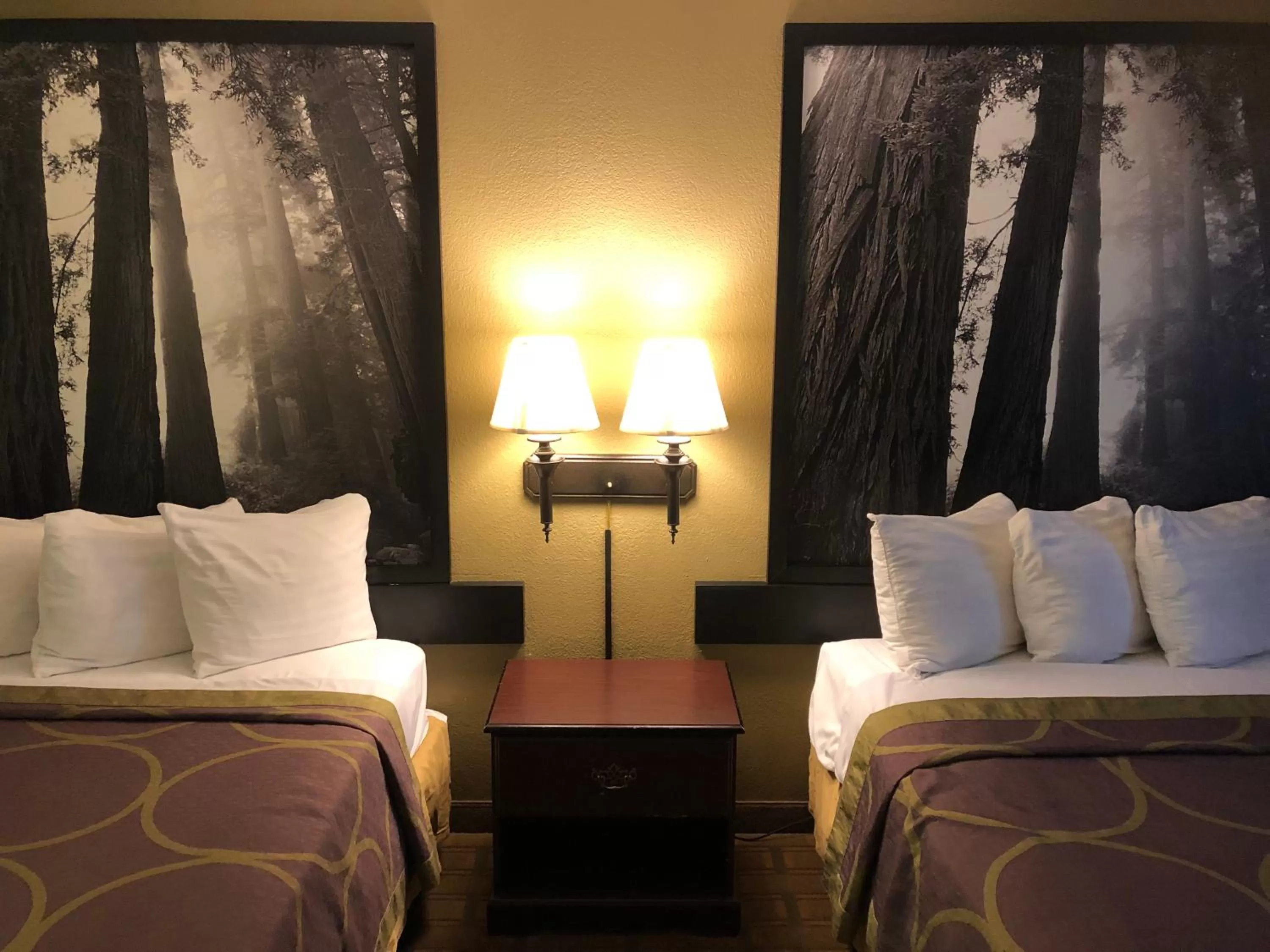 Bed in Super 8 by Wyndham Corning