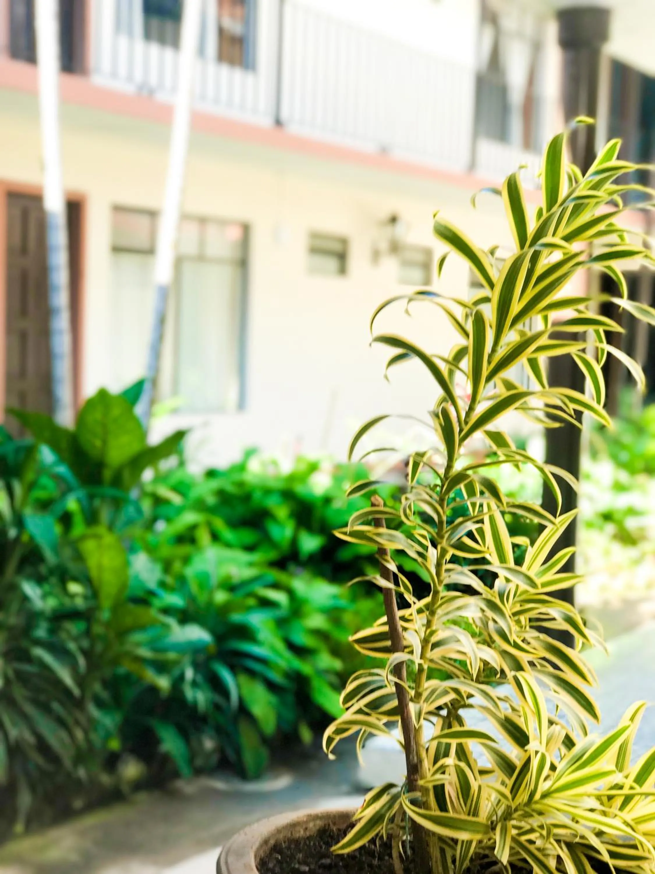 Decorative detail in Hotel Villa de Flores