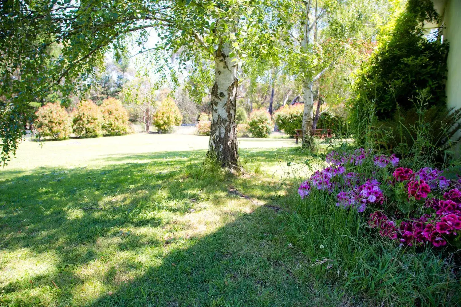 Day, Garden in Black Forest Motel