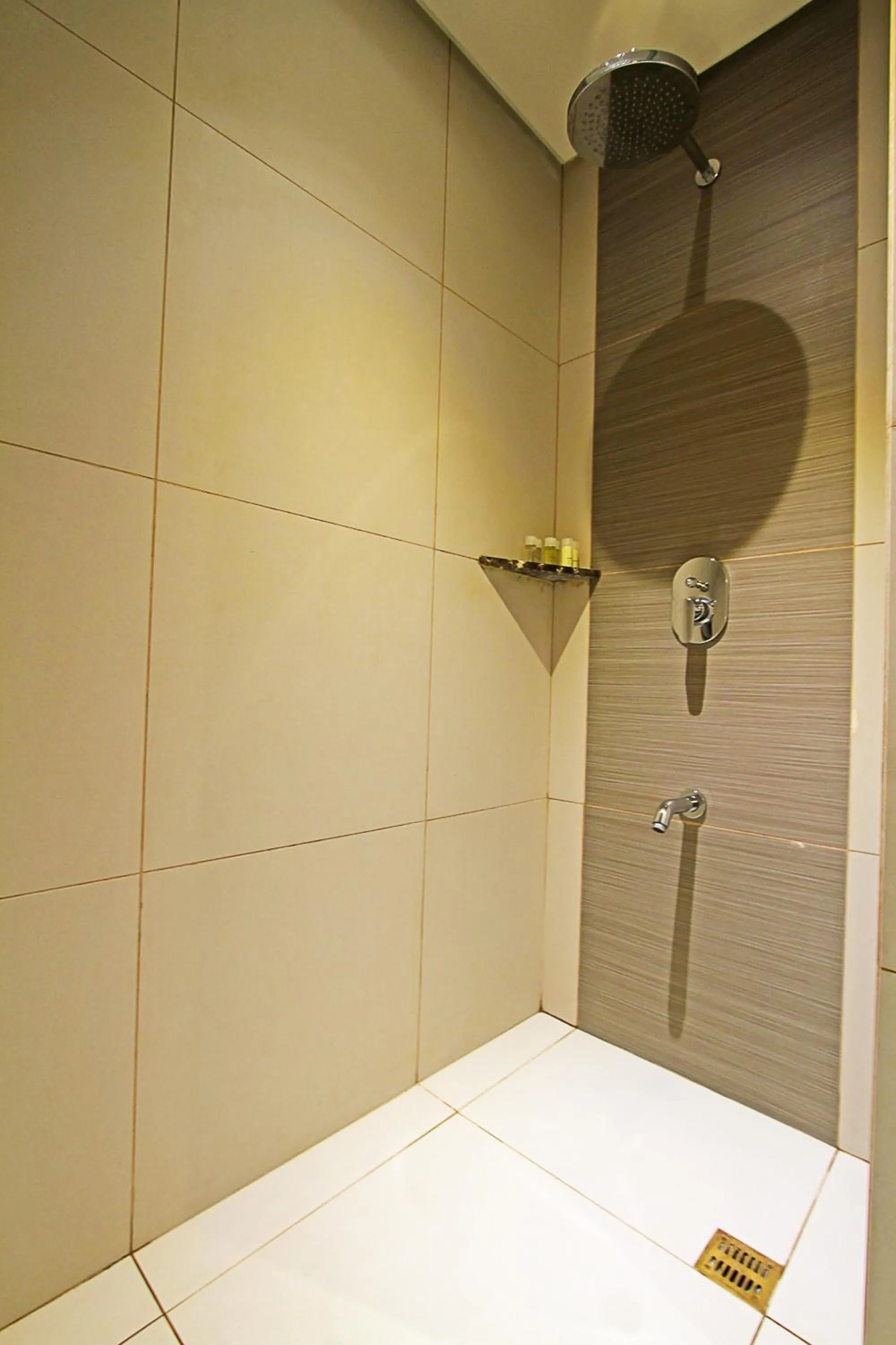 Shower in Best Western Plus The Ivywall Resort-Panglao