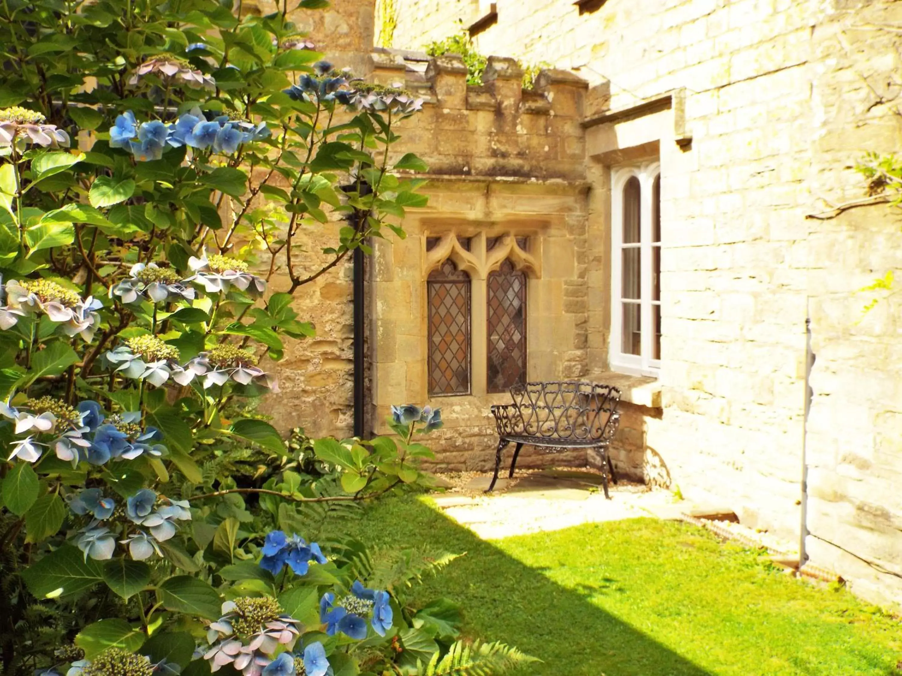 Garden in Old Vicarage B&B