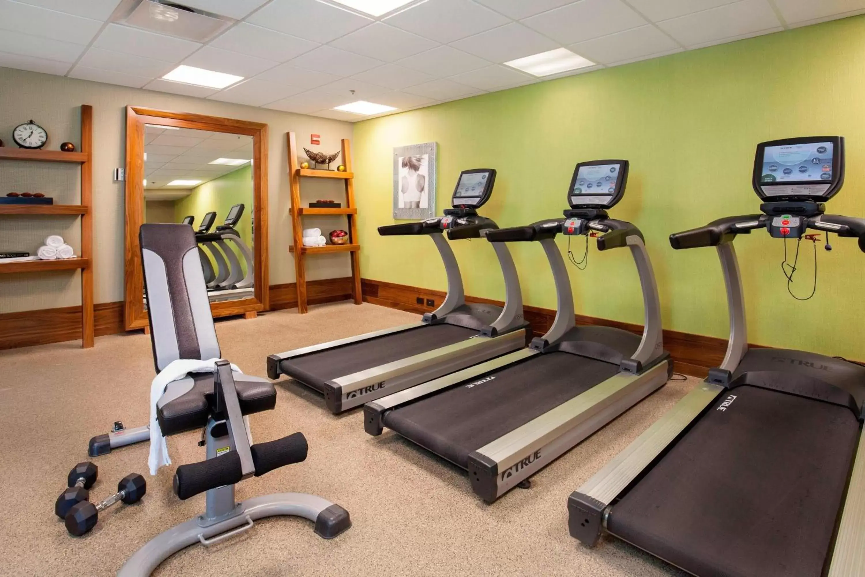 Fitness centre/facilities, Fitness Center/Facilities in Courtyard by Marriott Ithaca Airport/University