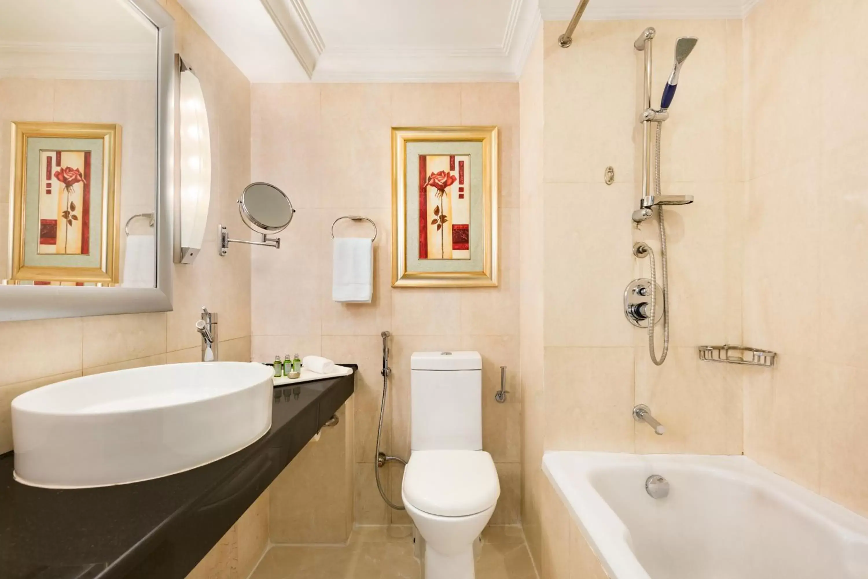 Bathroom in Ramada Plaza by Wyndham Karachi Airport Hotel