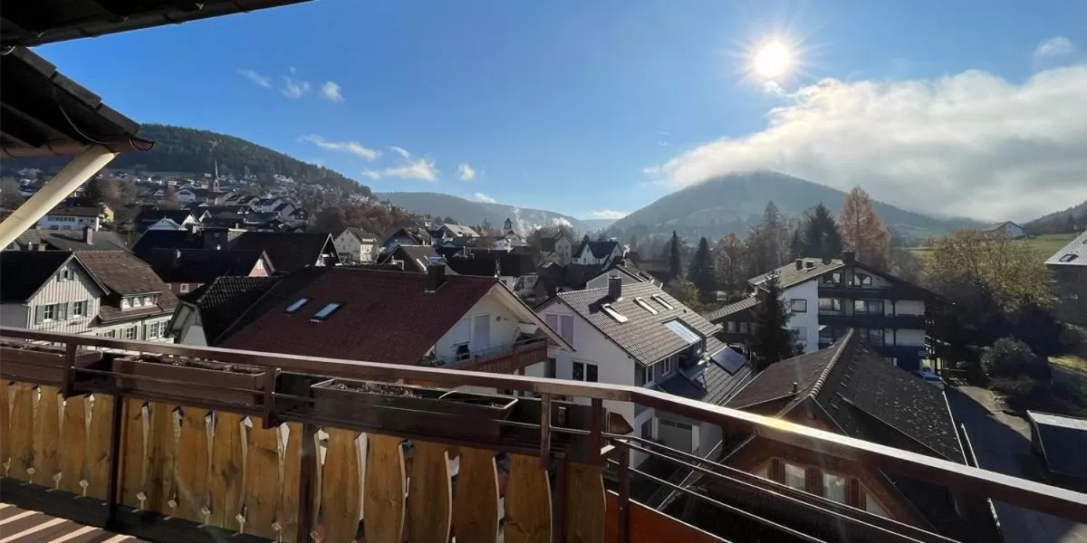Balcony/Terrace in Hotel Rose