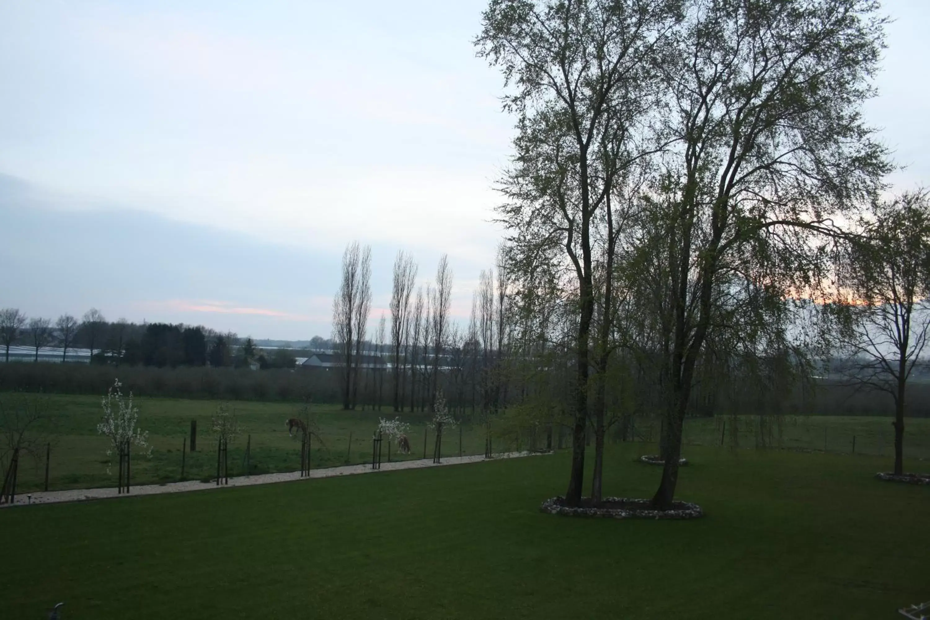 View (from property/room) in B&B Johannes-Hoeve