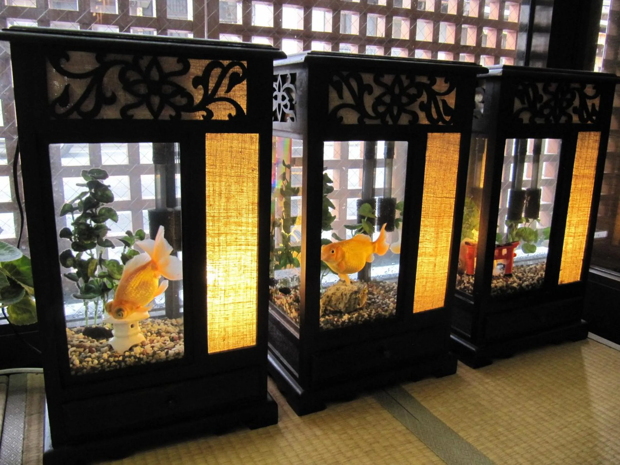 Lobby or reception in Dyeing and Hostel Nakashimaya - Female Only