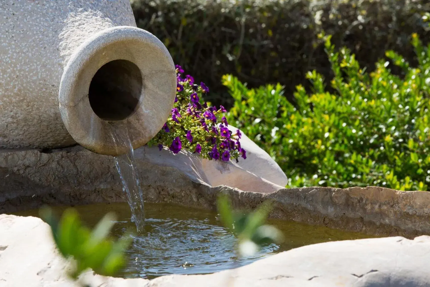 Garden, Other Animals in Hotel Ramapendula