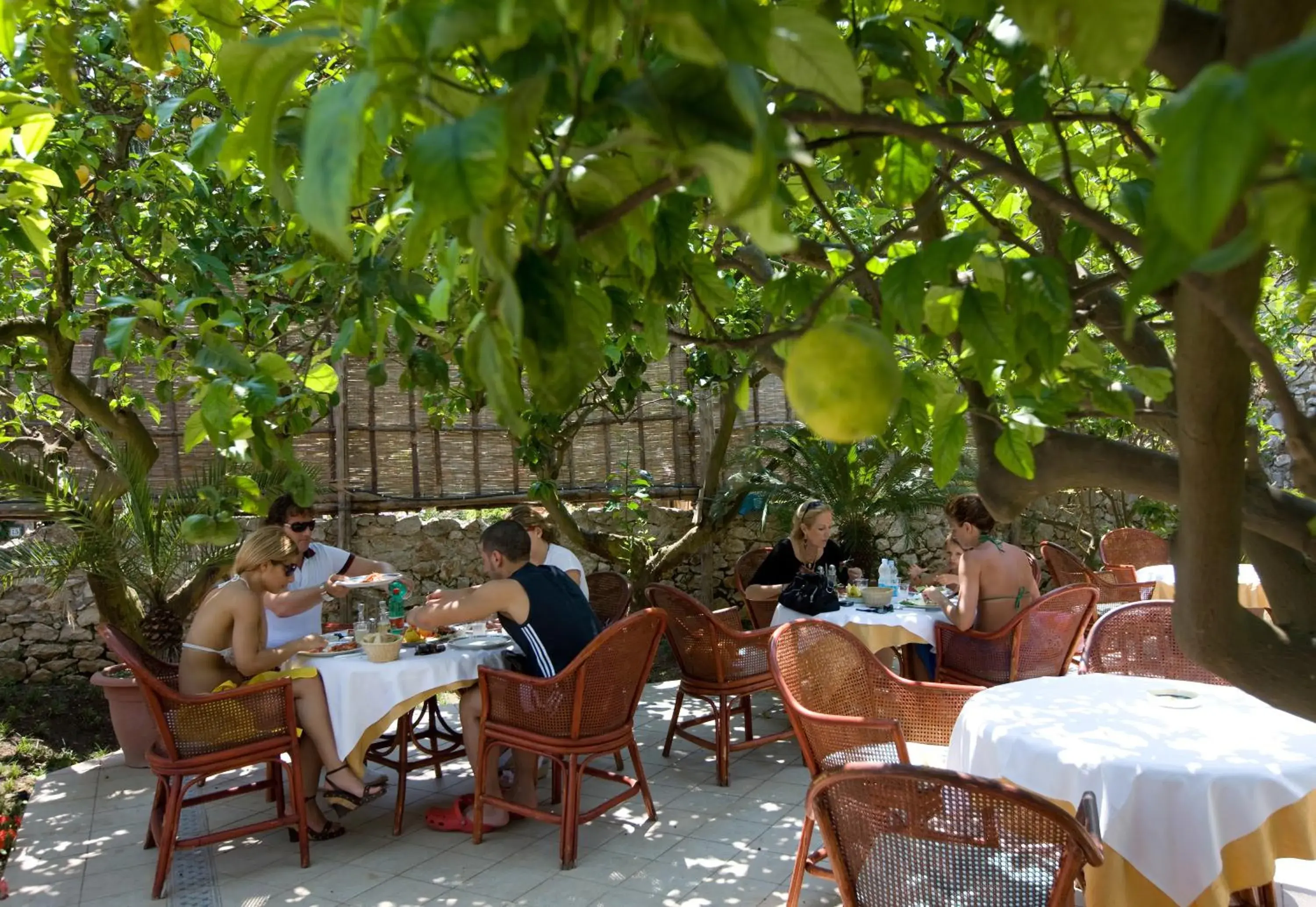 Balcony/Terrace, Restaurant/Places to Eat in Hotel San Felice