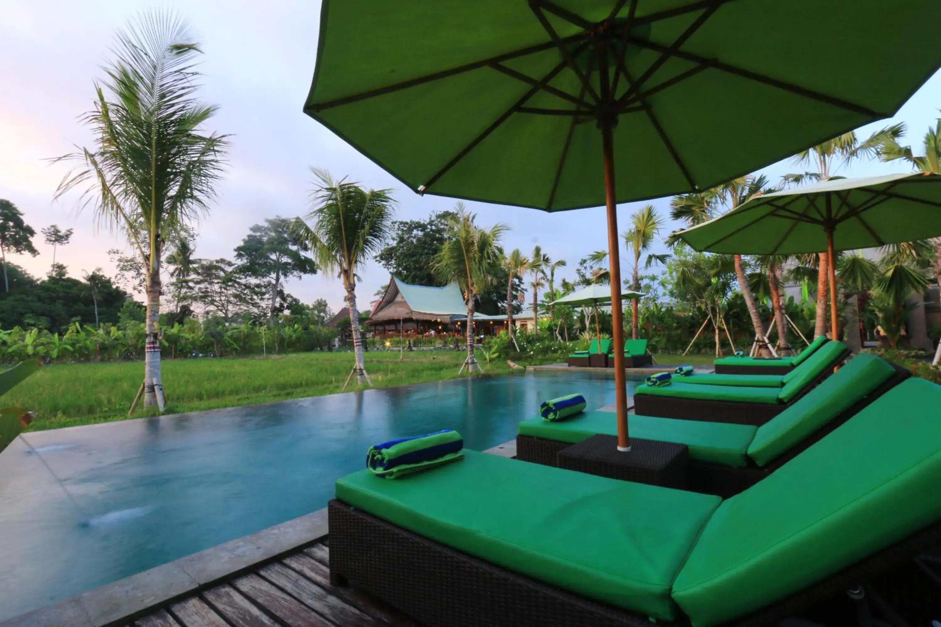 Swimming pool in Ubud Tropical Garden