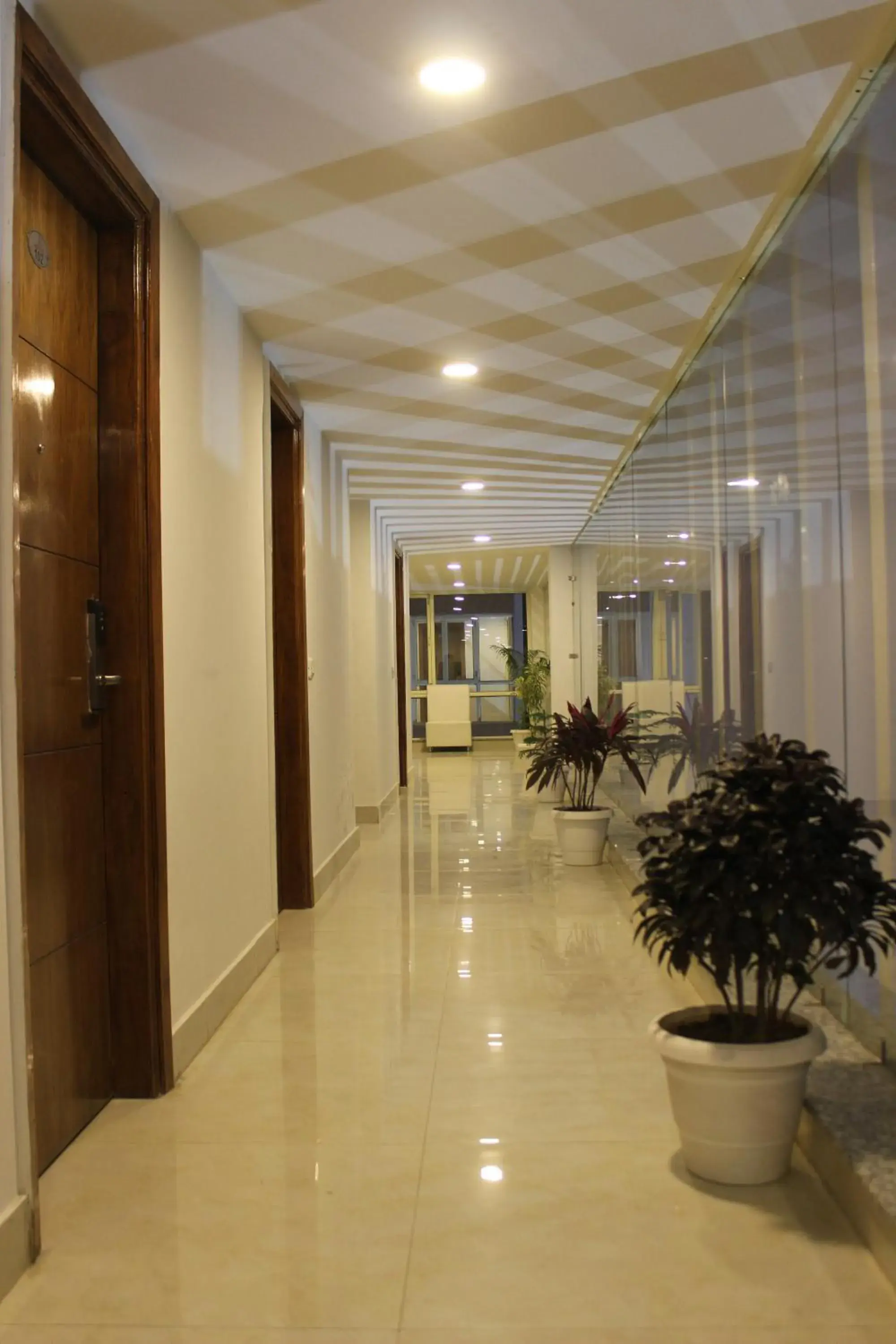 Street view, Lobby/Reception in Hotel Rama Trident