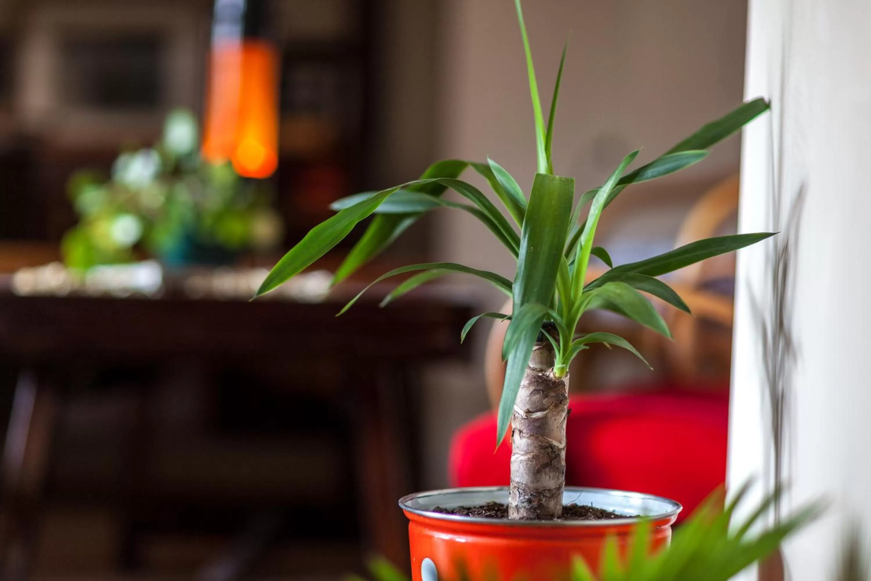 Property building in Vagabond B&B