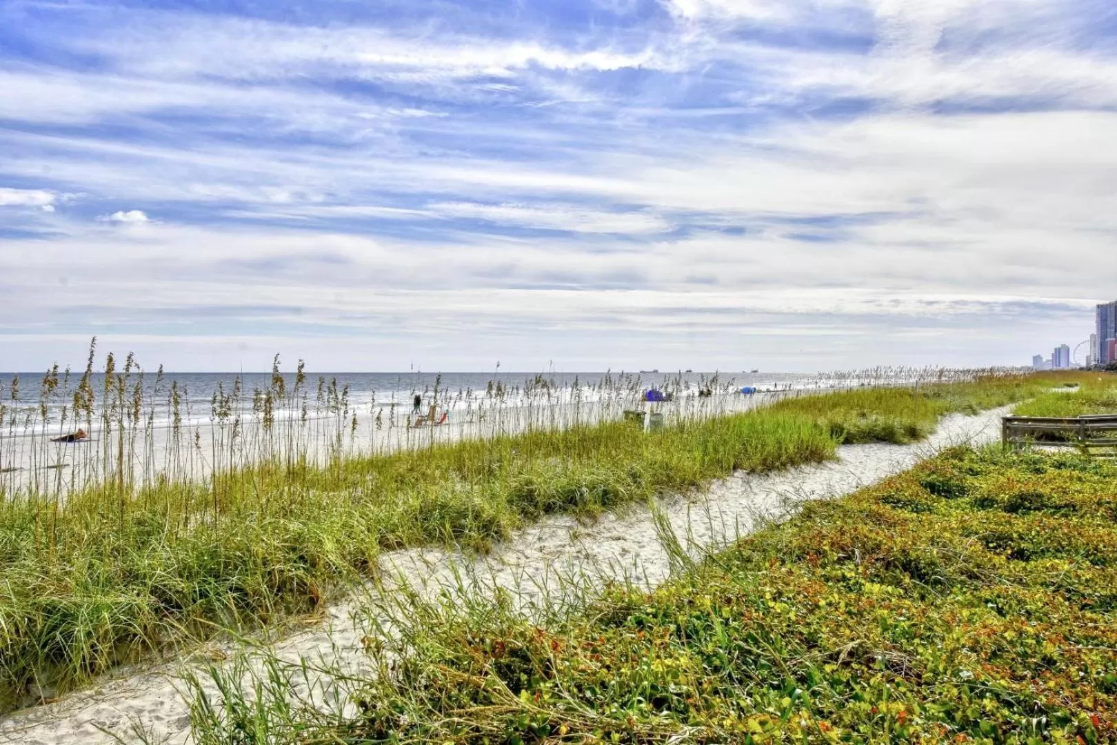 Natural landscape in Suites at the Beach