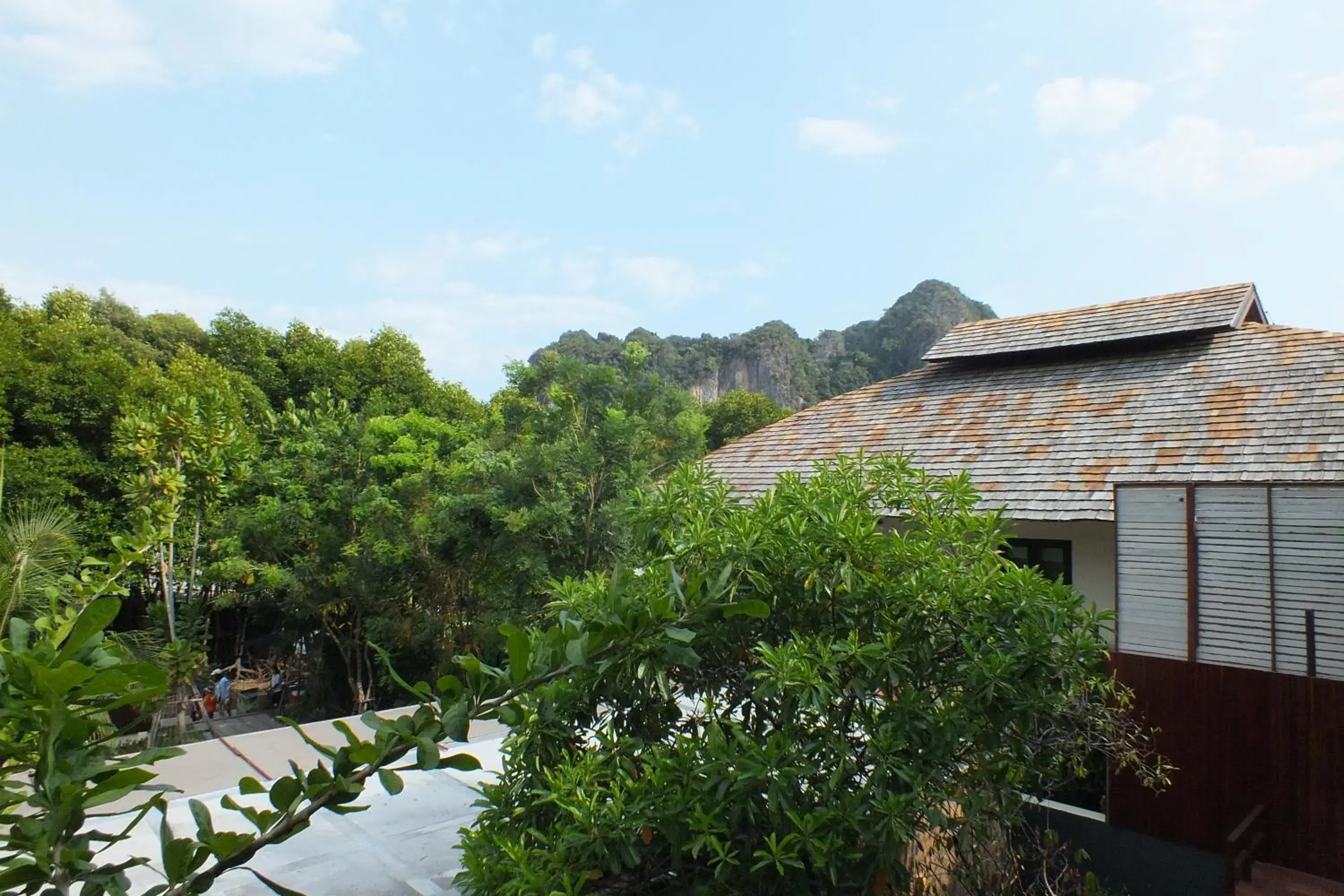 Mountain view in Avatar Railay