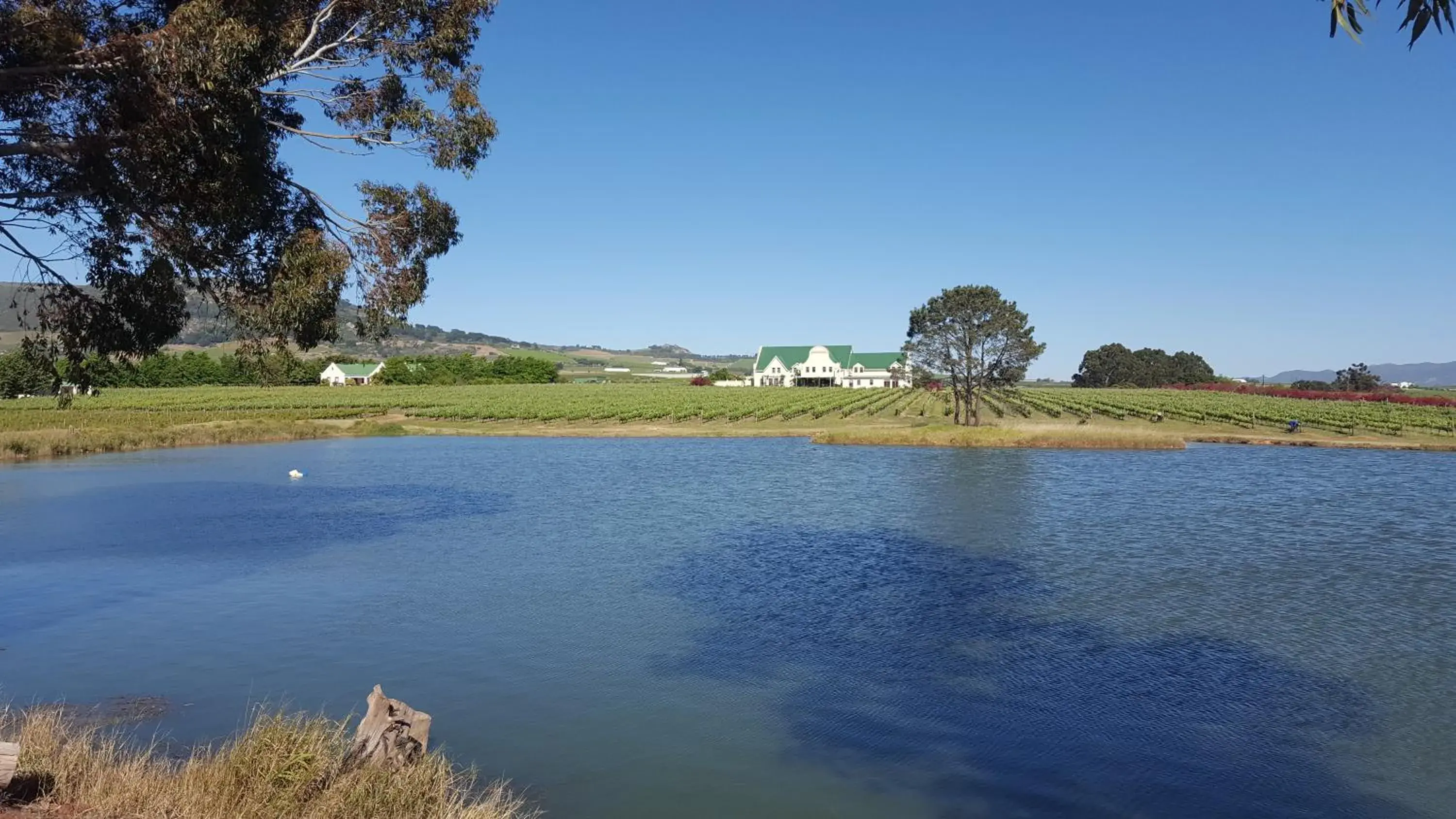 Natural landscape, Swimming Pool in Cana Vineyard Guesthouse