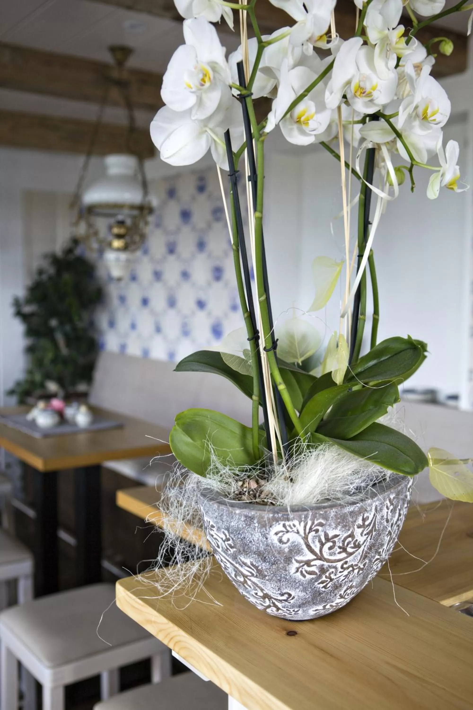 Restaurant/places to eat in Anker's Hörn