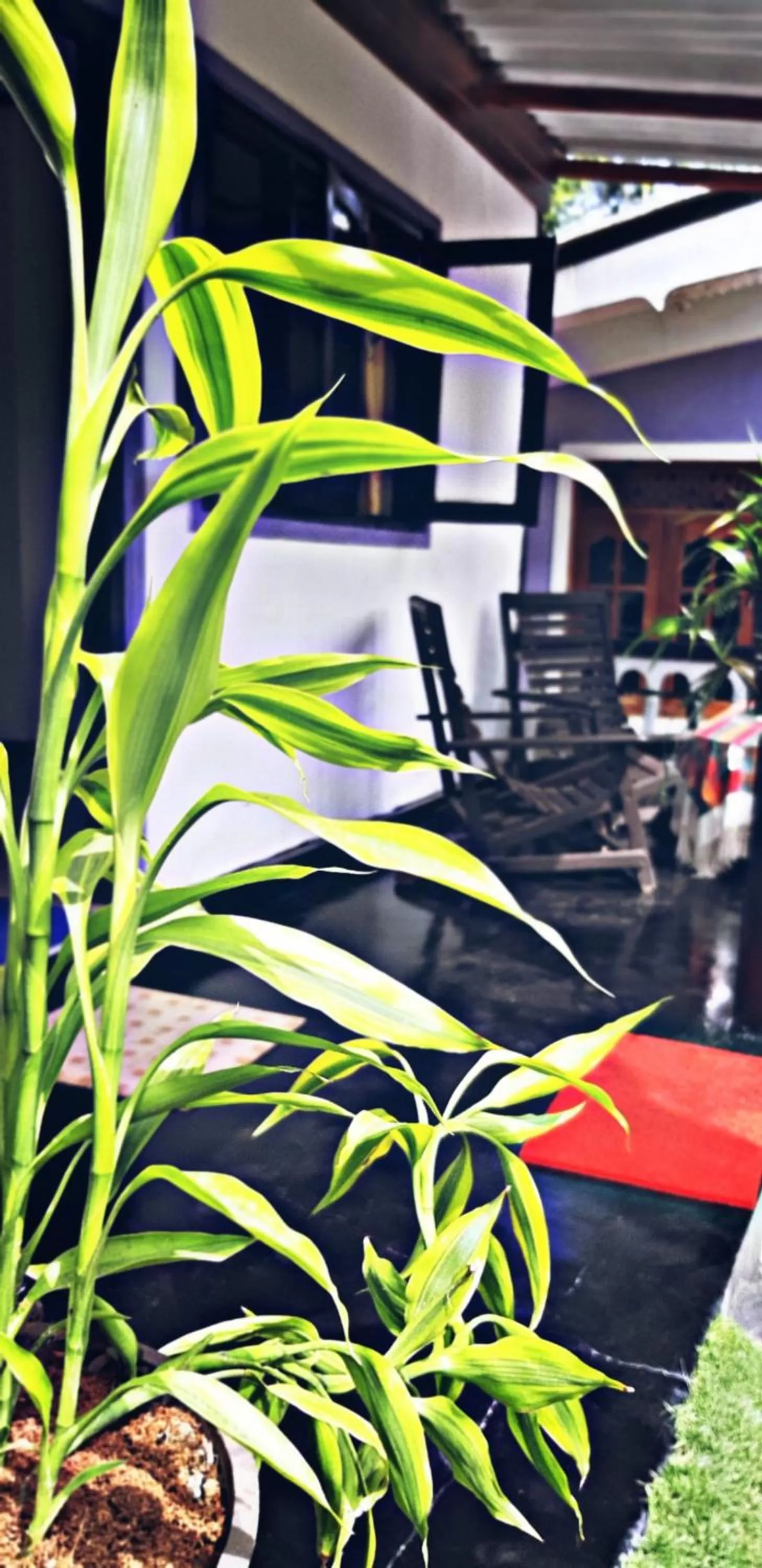 Off site in Cozy Home Stay