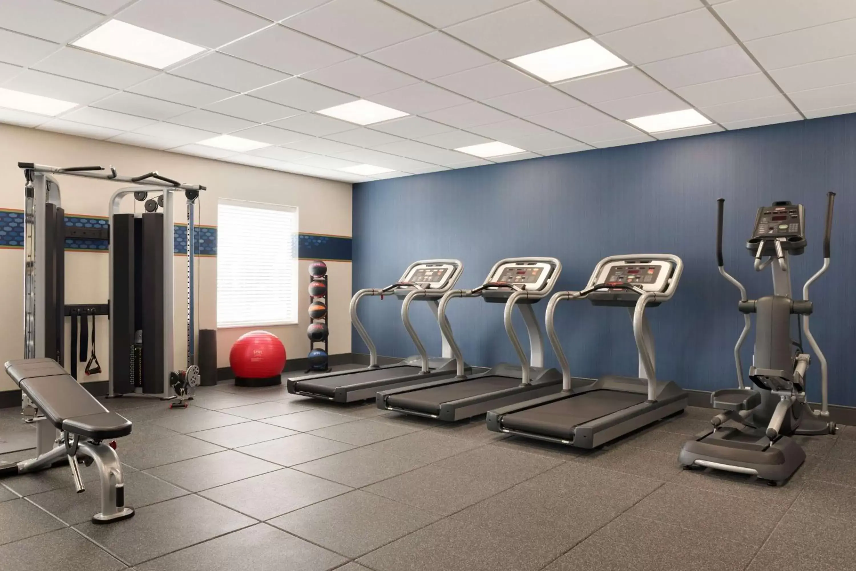 Fitness centre/facilities, Fitness Center/Facilities in Hampton Inn & Suites Kenosha