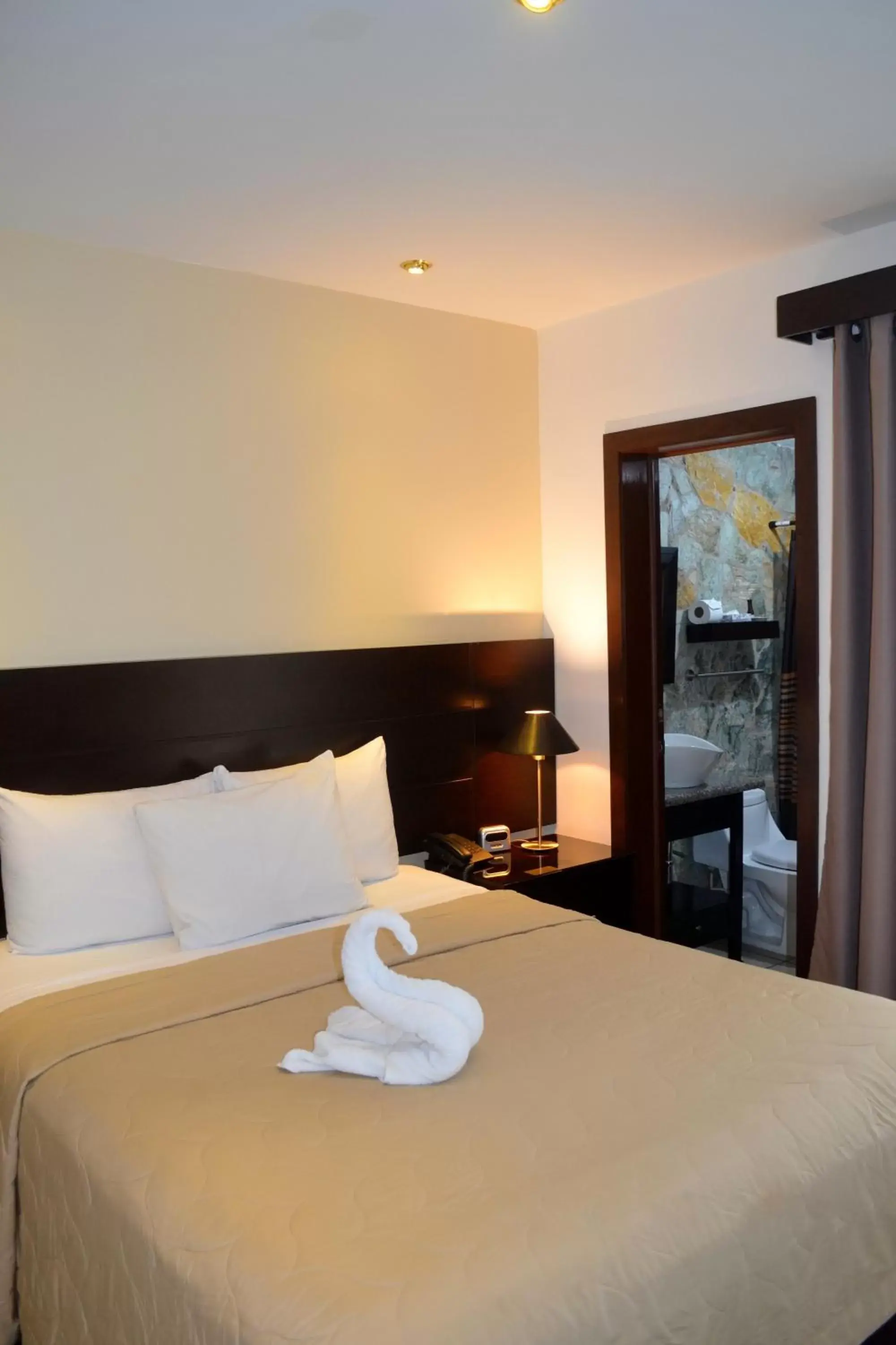 Photo of the whole room, Bed in Hotel Villa Florencia Zona Rosa Photo of the whole room, Bed in Hotel Villa Florencia Zona Rosa