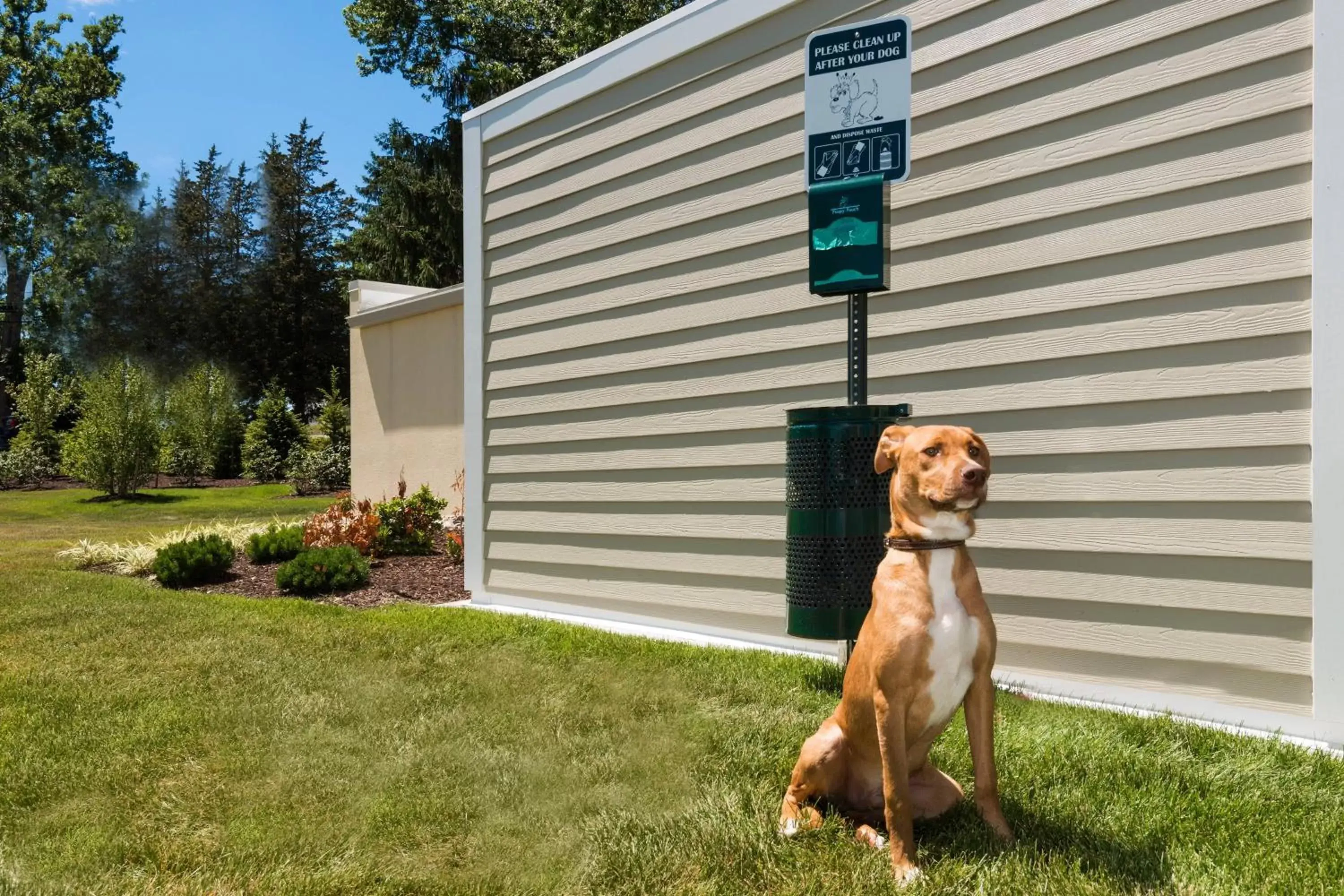 Other, Pets in TownePlace Suites by Marriott Latham Albany Airport
