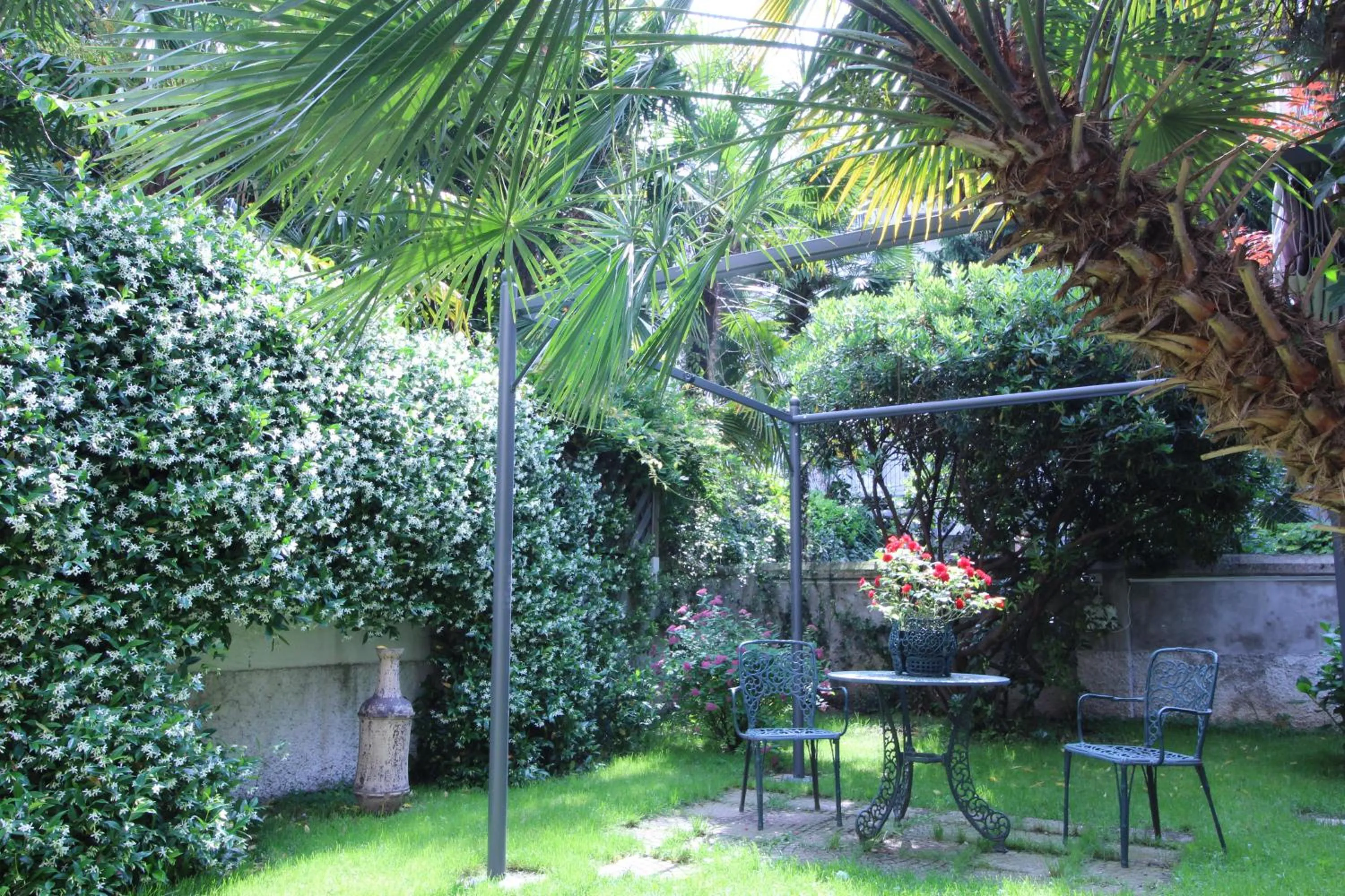 Garden in Hotel Charly