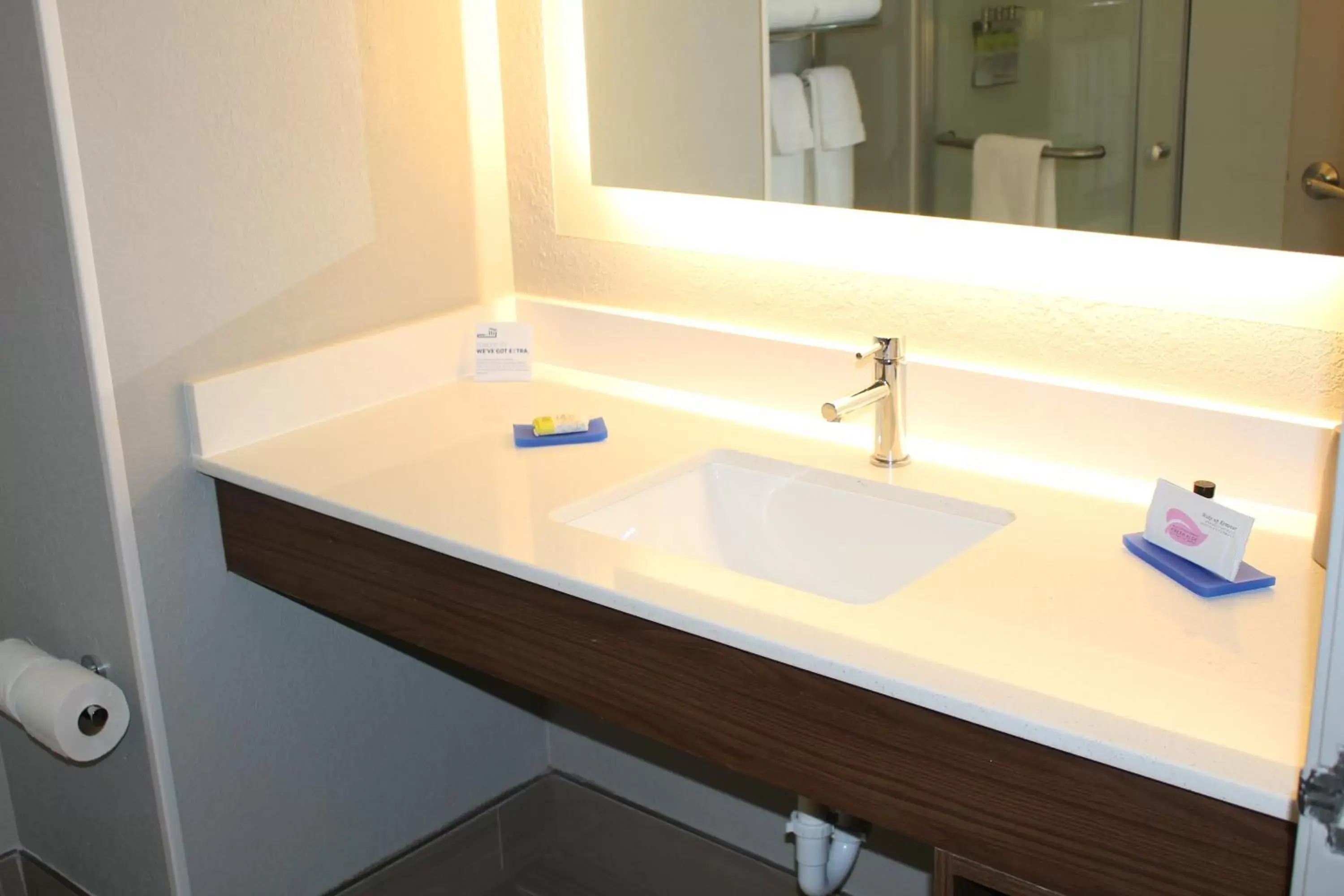 Bathroom in Holiday Inn Express & Suites - Enterprise, an IHG Hotel