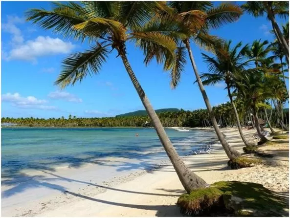 Sea view in Hotel Villas Palmas Al Mar