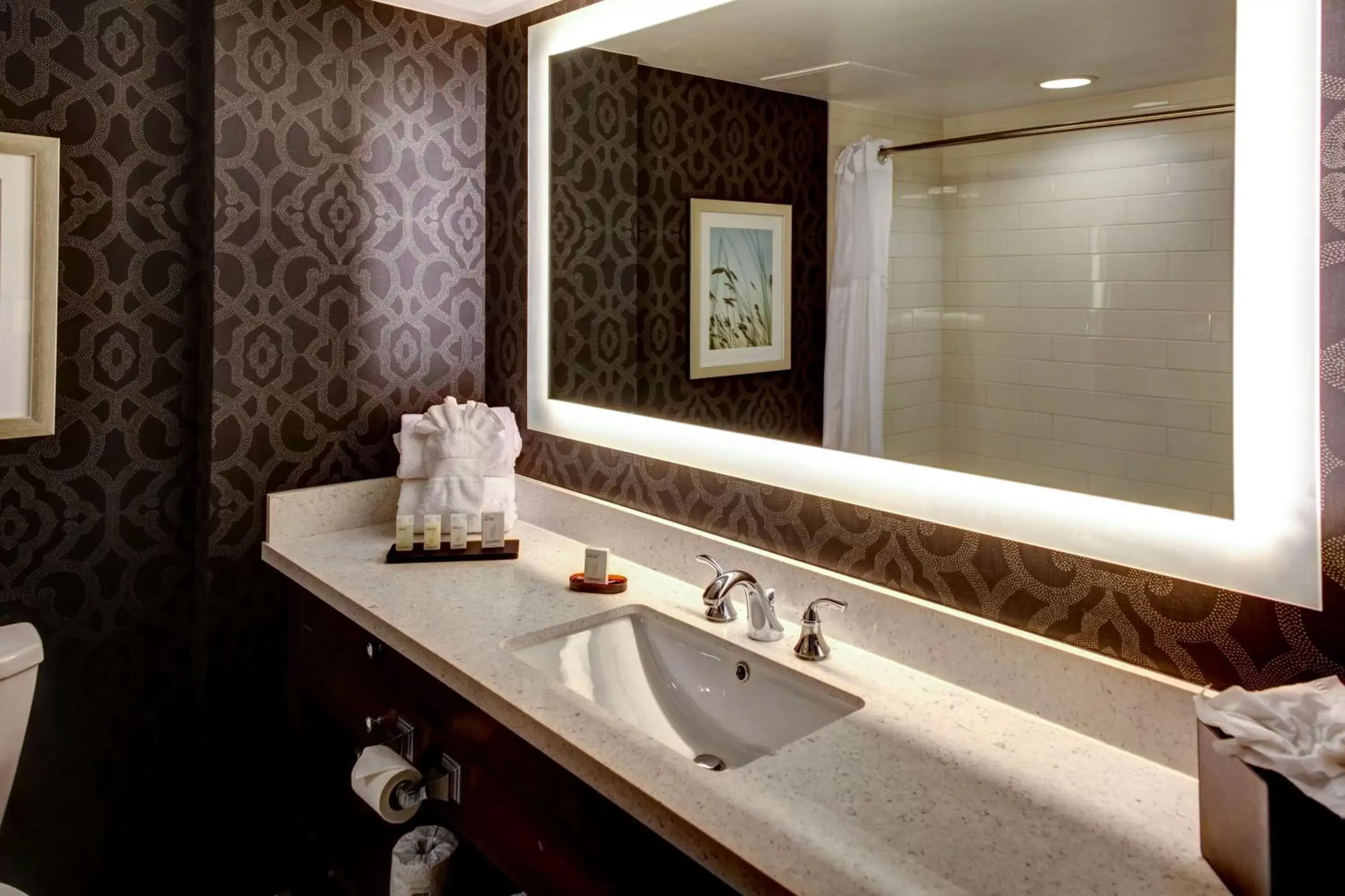 Bathroom in Embassy Suites Williamsburg