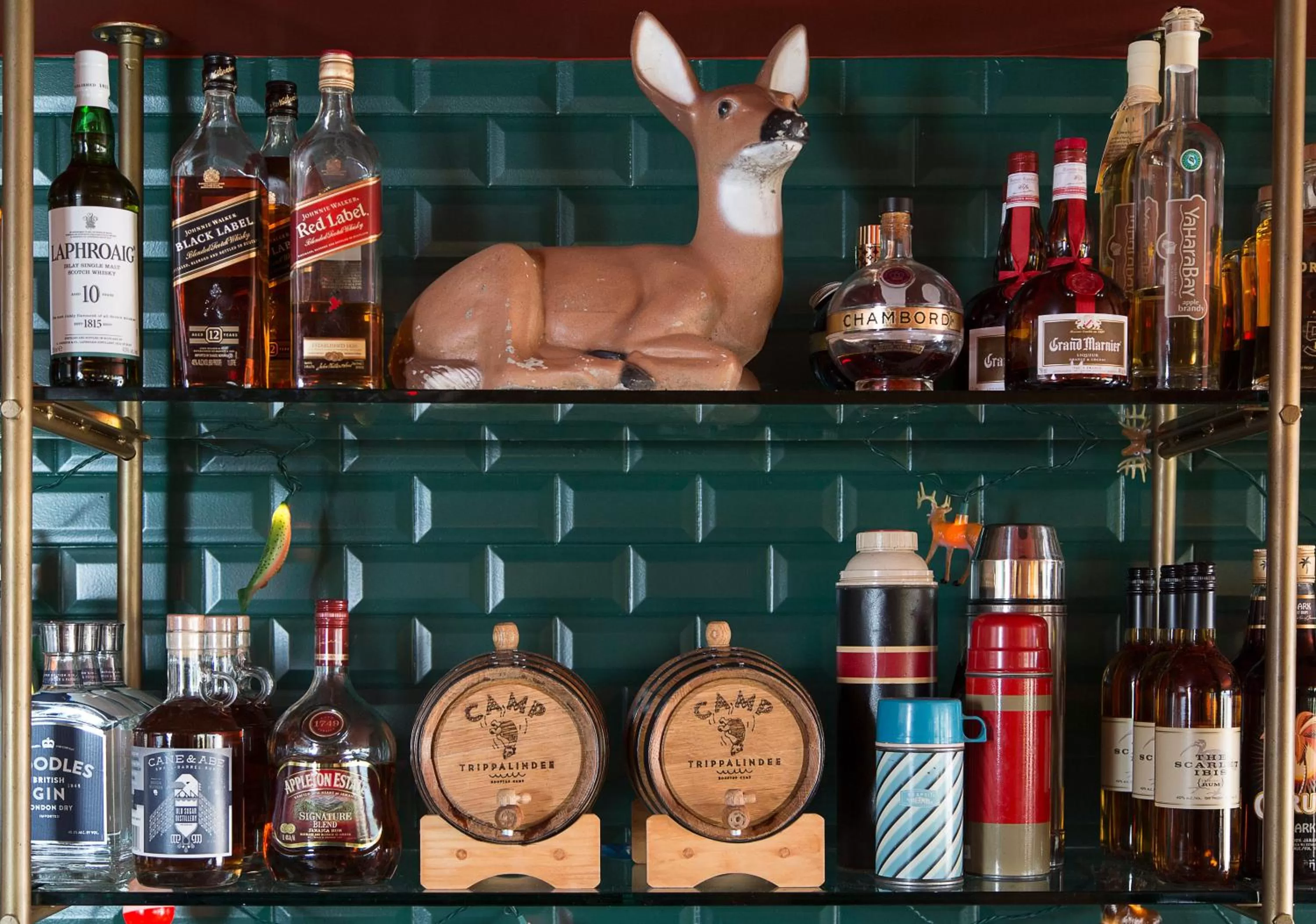 Lounge or bar in Graduate by Hilton Madison